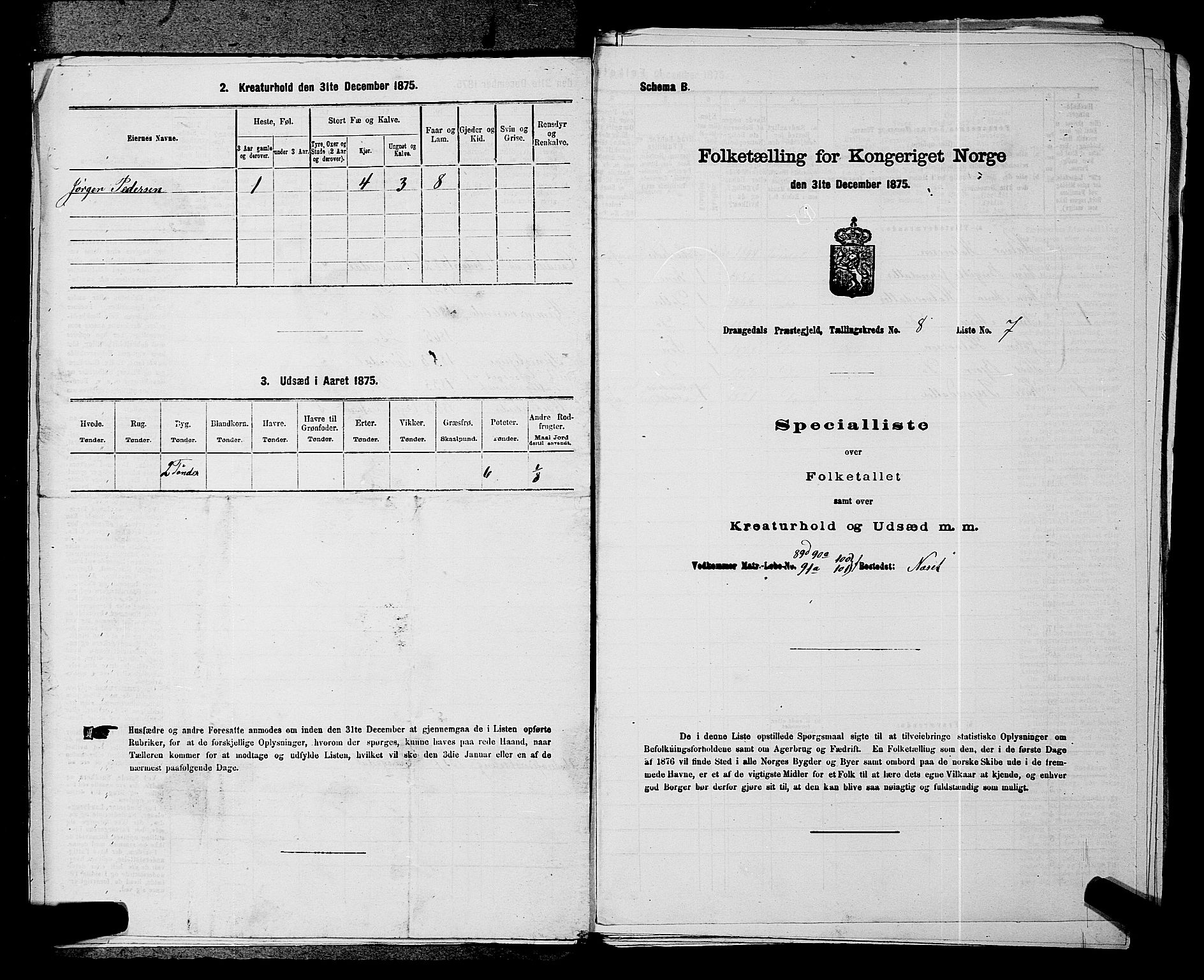 SAKO, 1875 census for 0817P Drangedal, 1875, p. 774