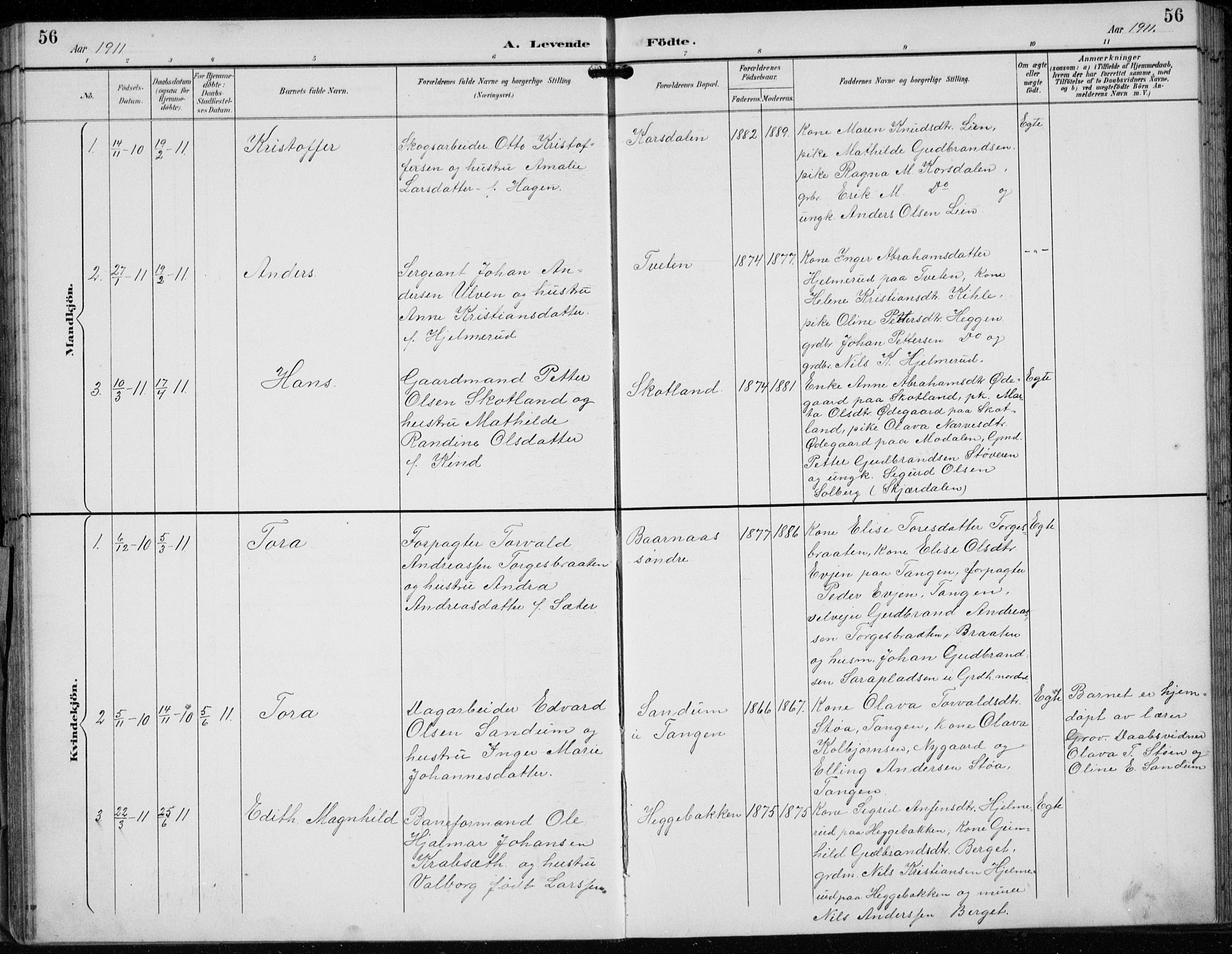 Lunder kirkebøker, AV/SAKO-A-629/F/Fb/L0001: Parish register (official) no. II 1, 1893-1916, p. 56