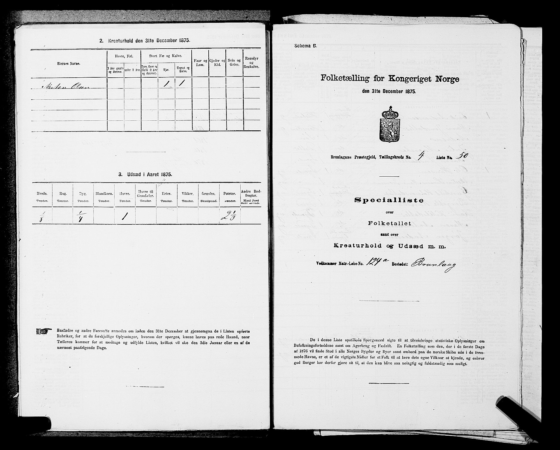 SAKO, 1875 census for 0726P Brunlanes, 1875, p. 550