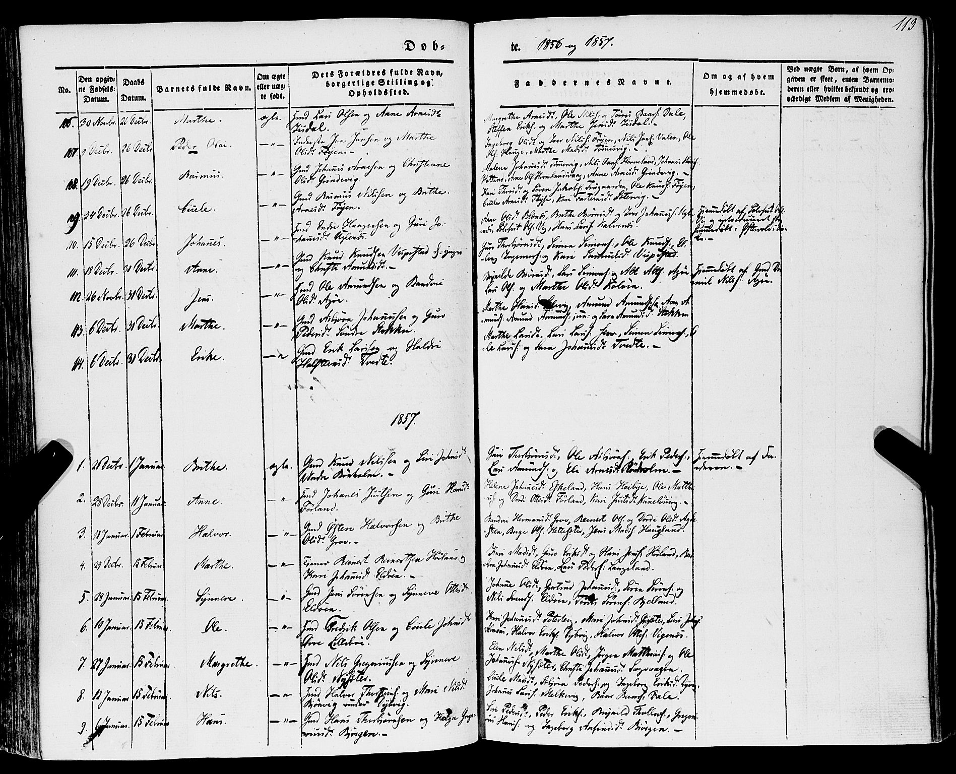 Stord sokneprestembete, SAB/A-78201/H/Haa: Parish register (official) no. A 7, 1841-1861, p. 113