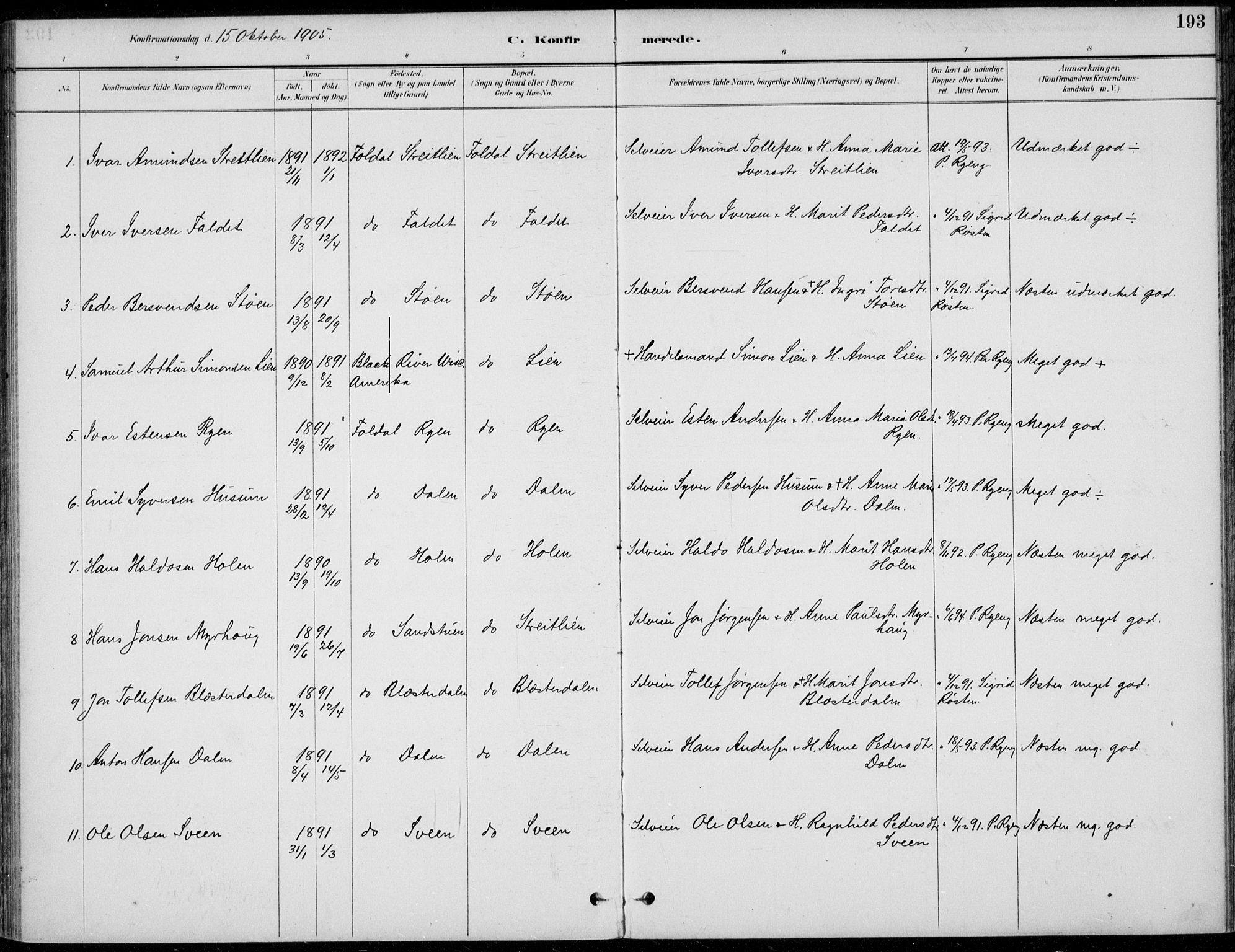 Alvdal prestekontor, SAH/PREST-060/H/Ha/Haa/L0003: Parish register (official) no. 3, 1886-1912, p. 193