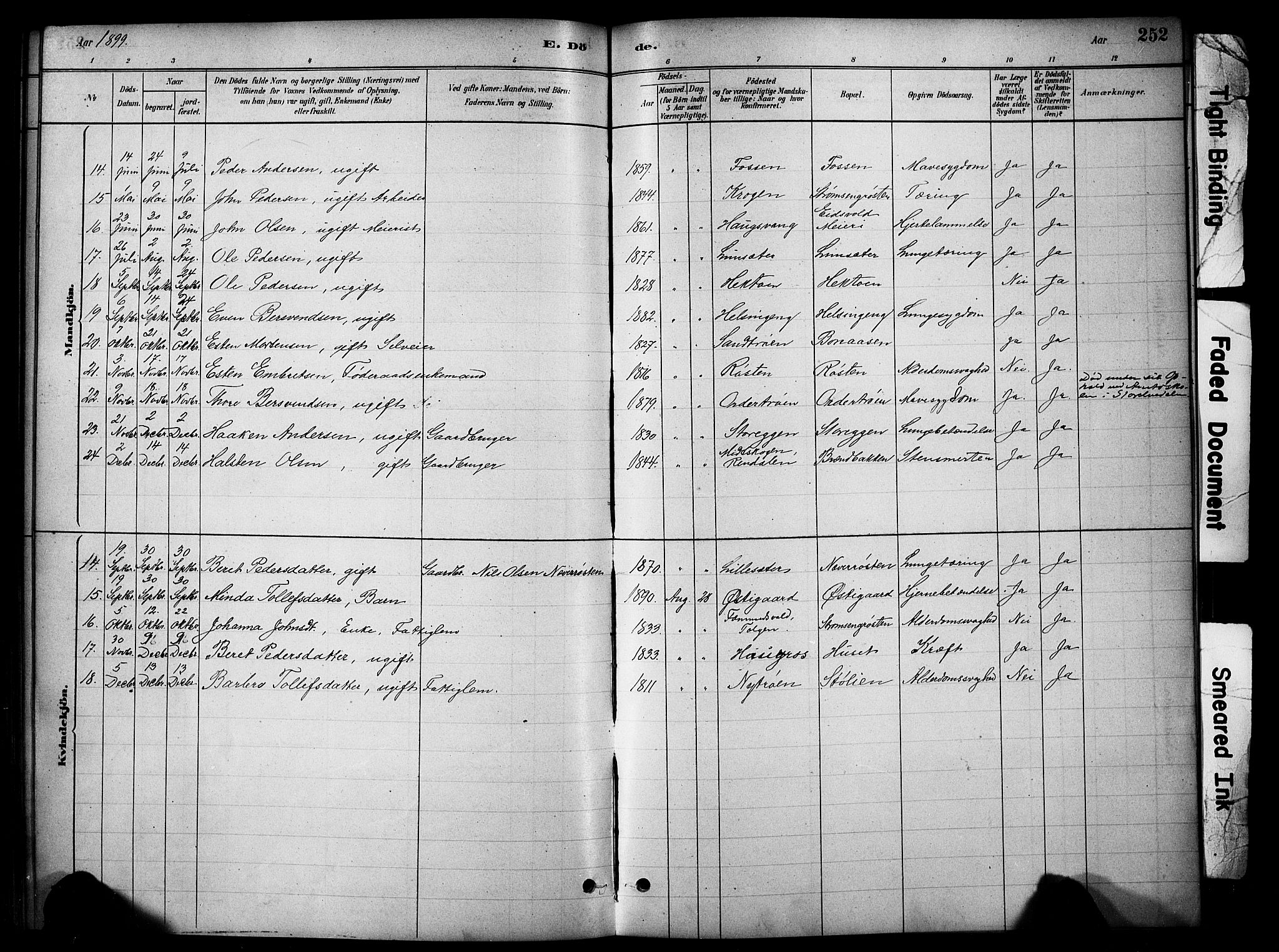 Tynset prestekontor, AV/SAH-PREST-058/H/Ha/Hab/L0006: Parish register (copy) no. 6, 1880-1899, p. 252