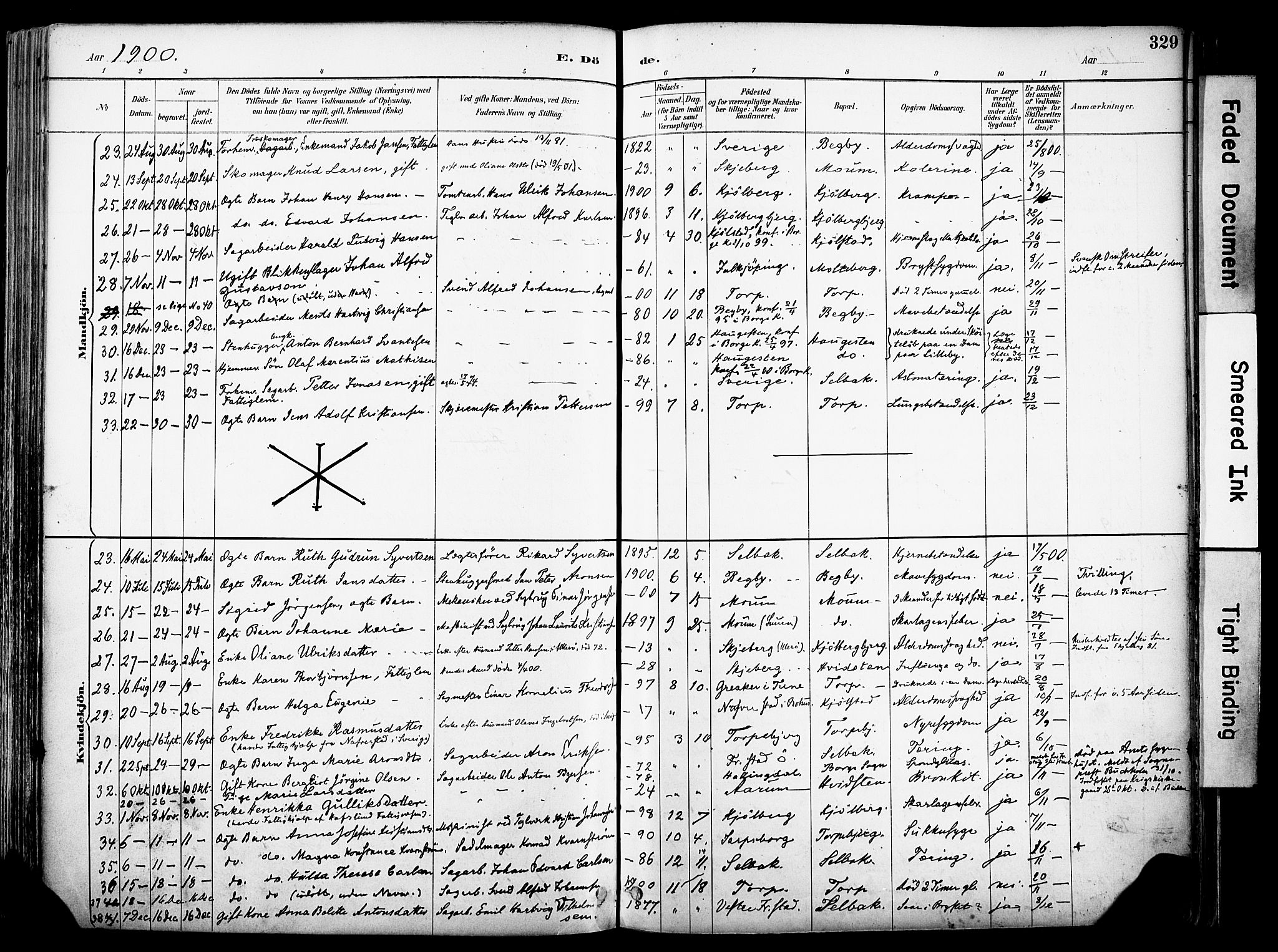 Borge prestekontor Kirkebøker, AV/SAO-A-10903/F/Fa/L0008: Parish register (official) no. I 8B, 1887-1902, p. 329