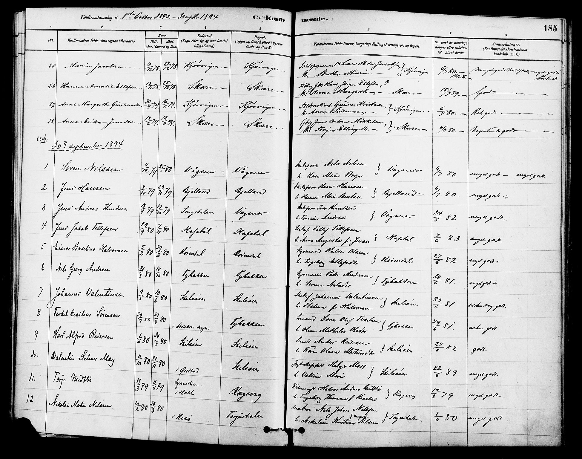 Tromøy sokneprestkontor, AV/SAK-1111-0041/F/Fa/L0009: Parish register (official) no. A 9, 1878-1896, p. 185