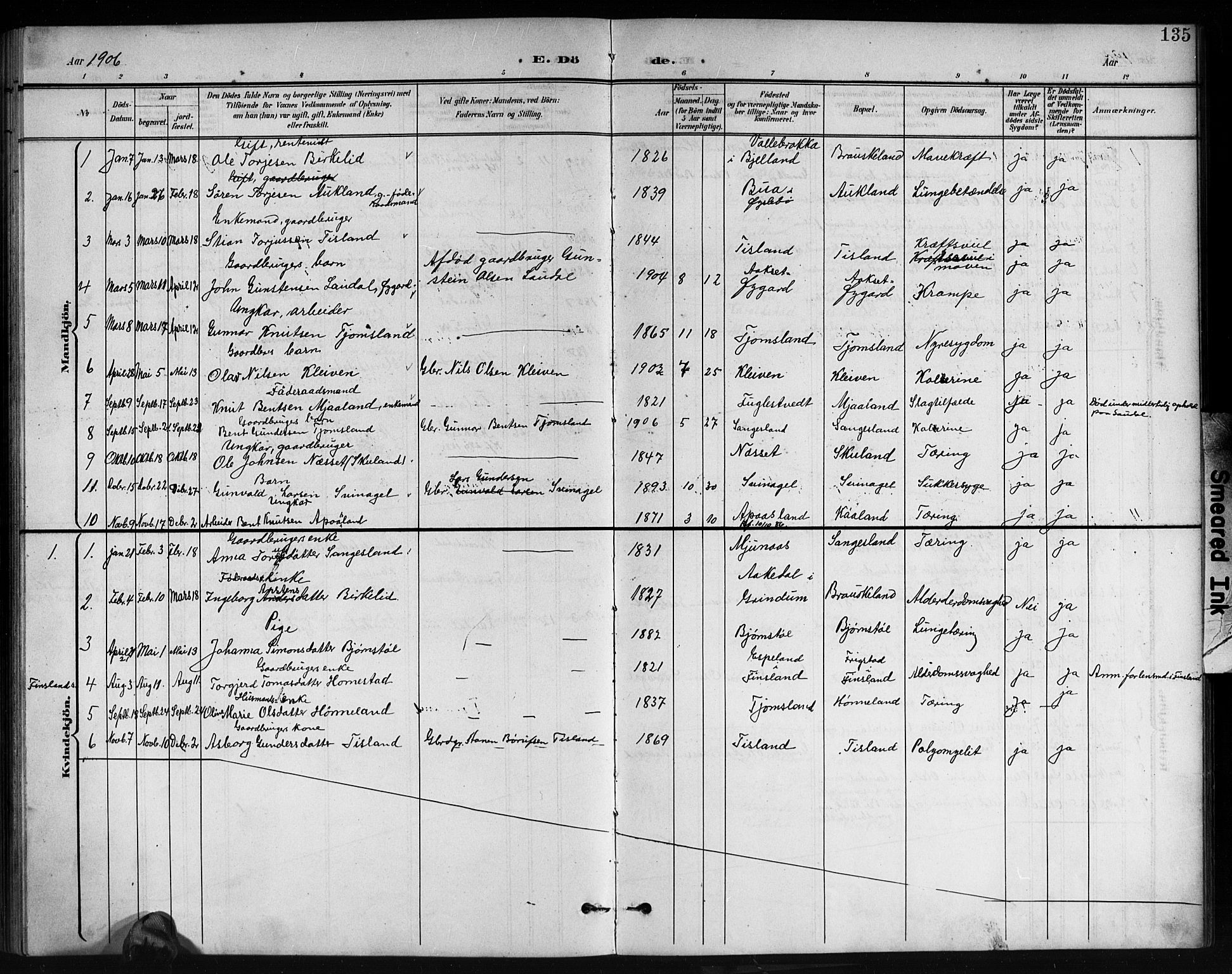 Holum sokneprestkontor, SAK/1111-0022/F/Fb/Fbb/L0004: Parish register (copy) no. B 4, 1899-1920, p. 135