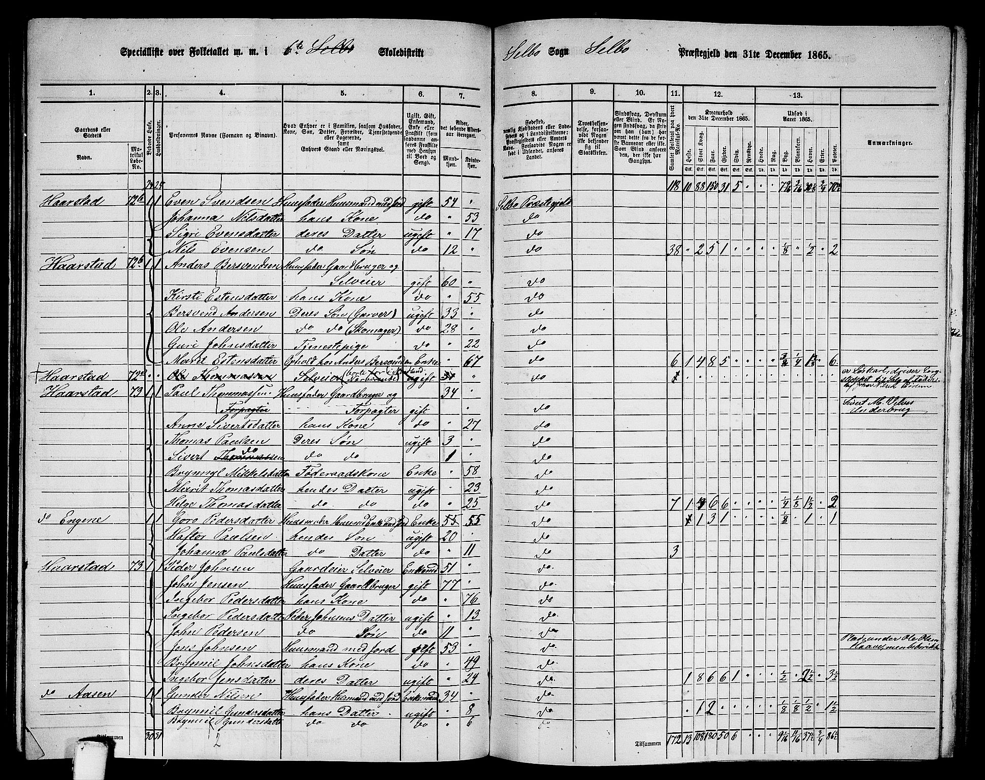 RA, 1865 census for Selbu, 1865, p. 96