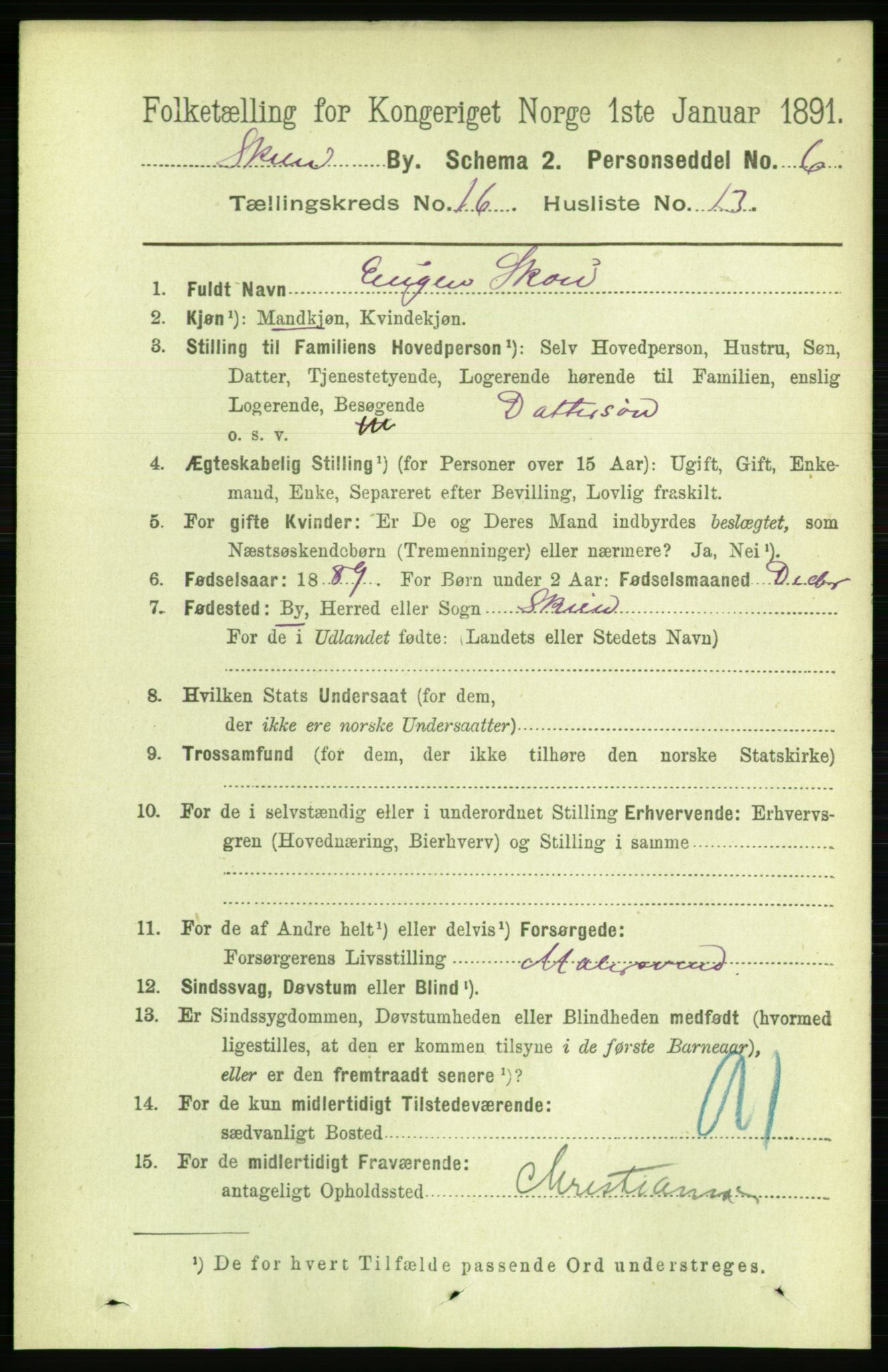 RA, 1891 census for 0806 Skien, 1891, p. 4650