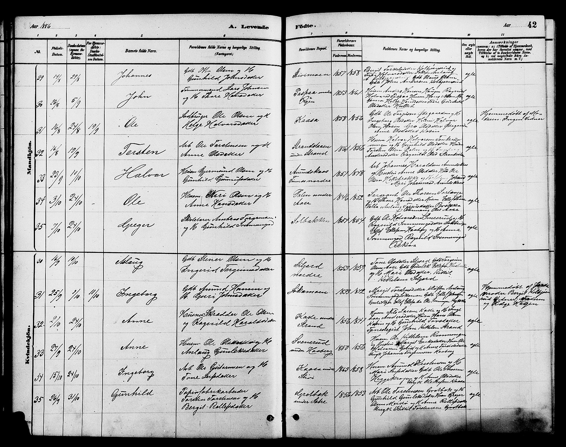 Heddal kirkebøker, SAKO/A-268/G/Ga/L0002: Parish register (copy) no. I 2, 1879-1908, p. 42
