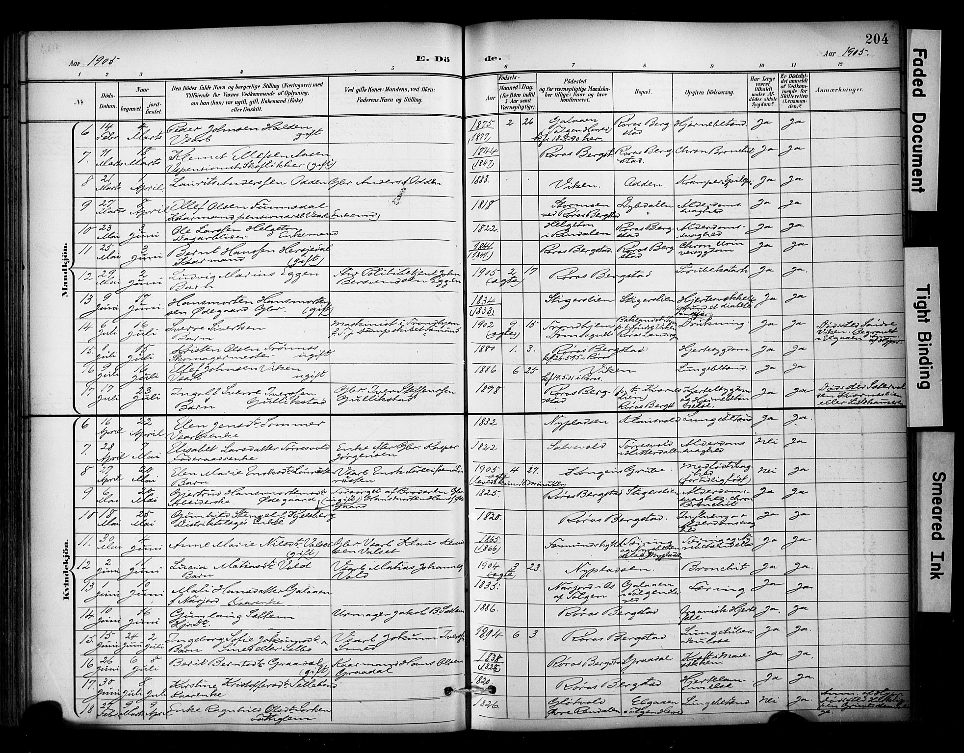 Ministerialprotokoller, klokkerbøker og fødselsregistre - Sør-Trøndelag, SAT/A-1456/681/L0936: Parish register (official) no. 681A14, 1899-1908, p. 204