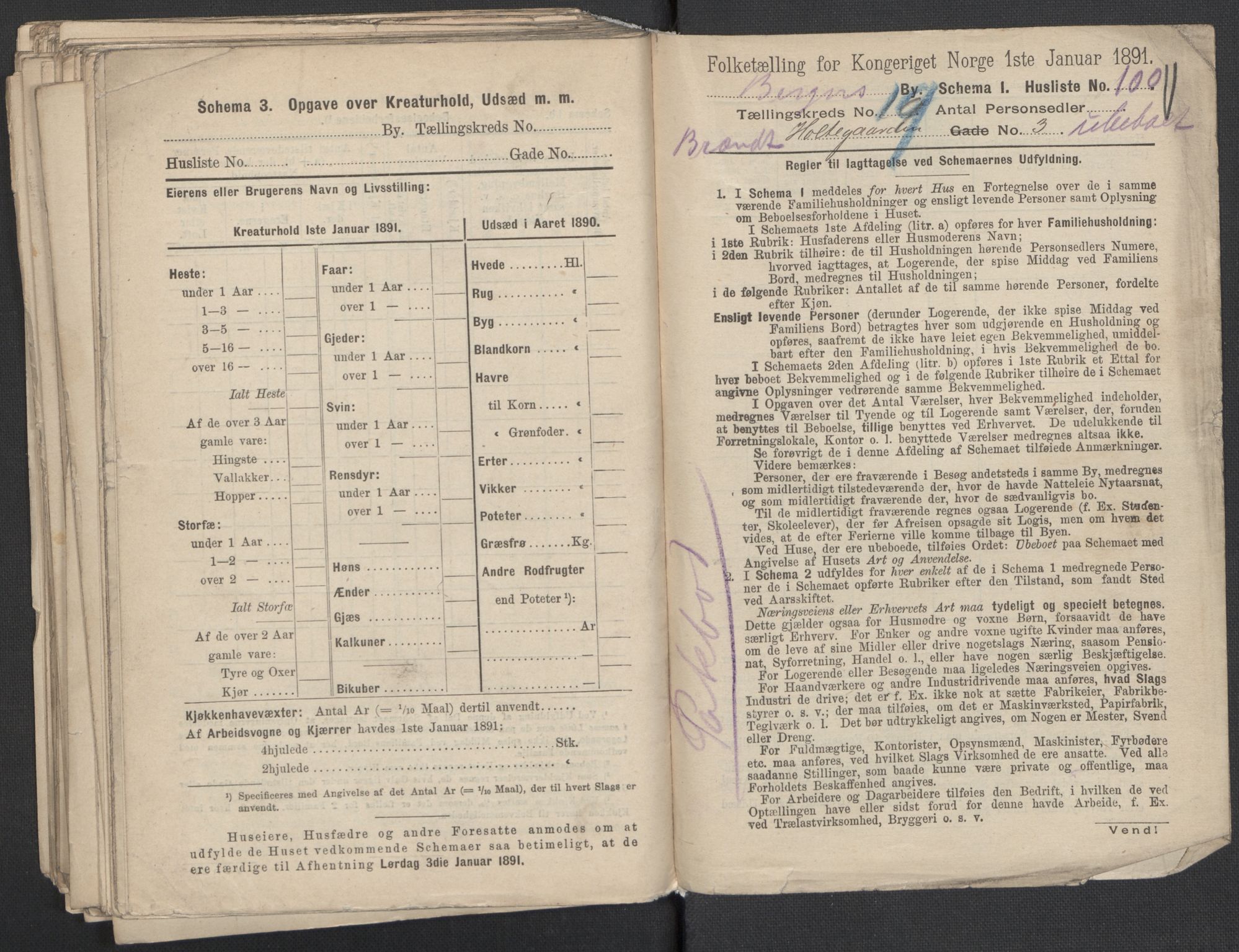 RA, 1891 Census for 1301 Bergen, 1891, p. 3146