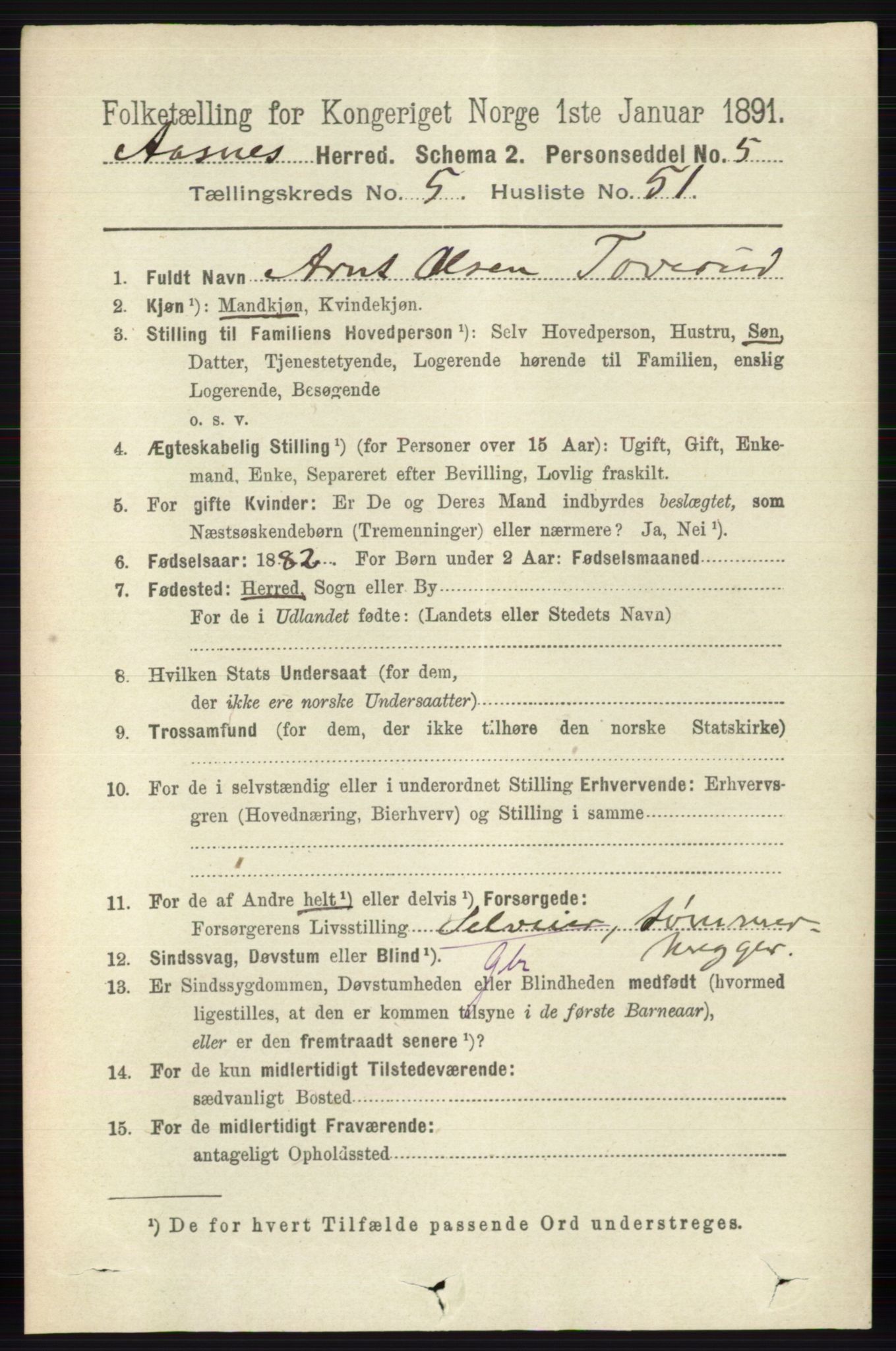 RA, 1891 census for 0425 Åsnes, 1891, p. 2706