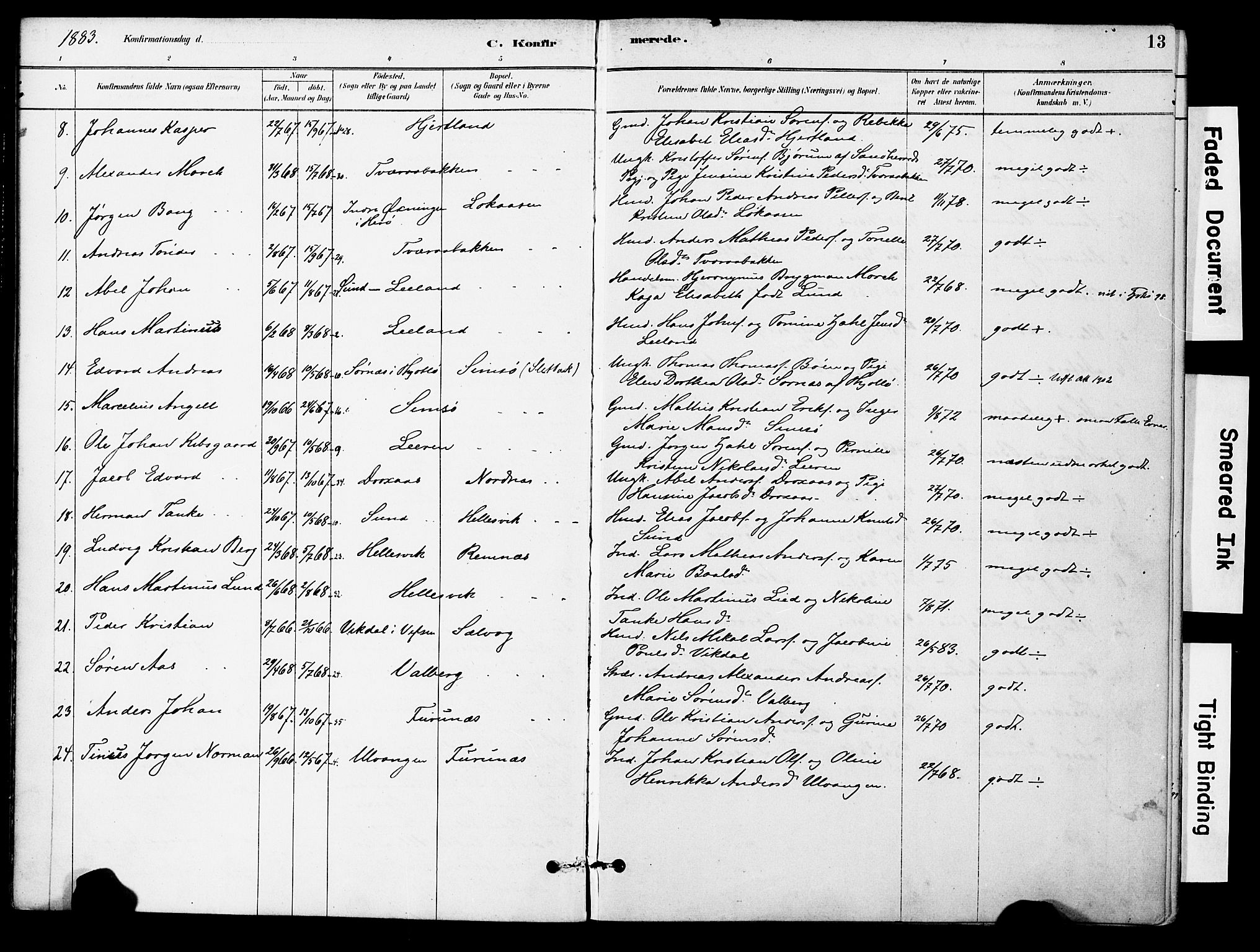 Ministerialprotokoller, klokkerbøker og fødselsregistre - Nordland, AV/SAT-A-1459/830/L0450: Parish register (official) no. 830A14, 1879-1896, p. 13