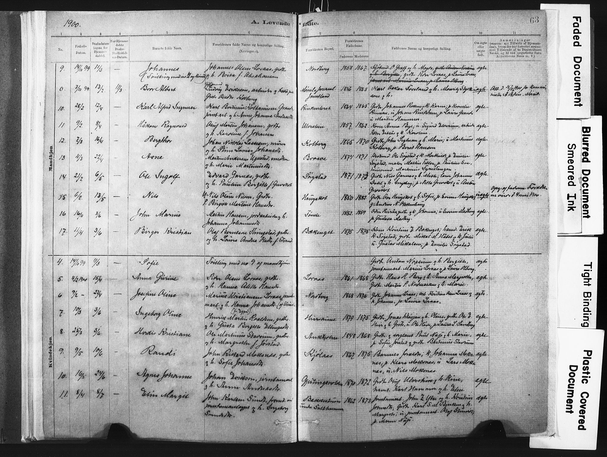 Ministerialprotokoller, klokkerbøker og fødselsregistre - Nord-Trøndelag, SAT/A-1458/721/L0207: Parish register (official) no. 721A02, 1880-1911, p. 63