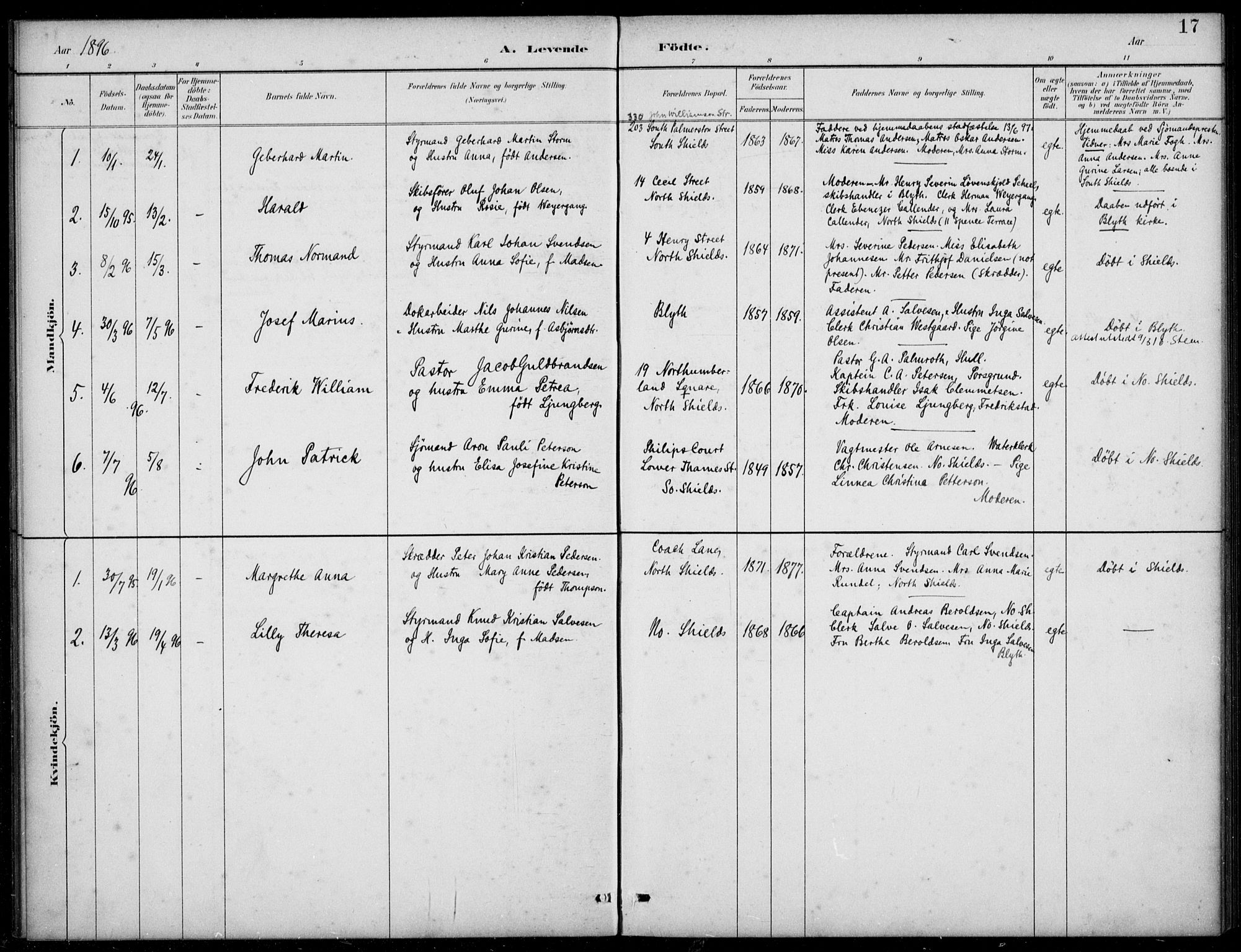 Den norske sjømannsmisjon i utlandet/Tyne-havnene (North Shields og New Castle), AV/SAB-SAB/PA-0101/H/Ha/L0002: Parish register (official) no. A 2, 1883-1938, p. 17