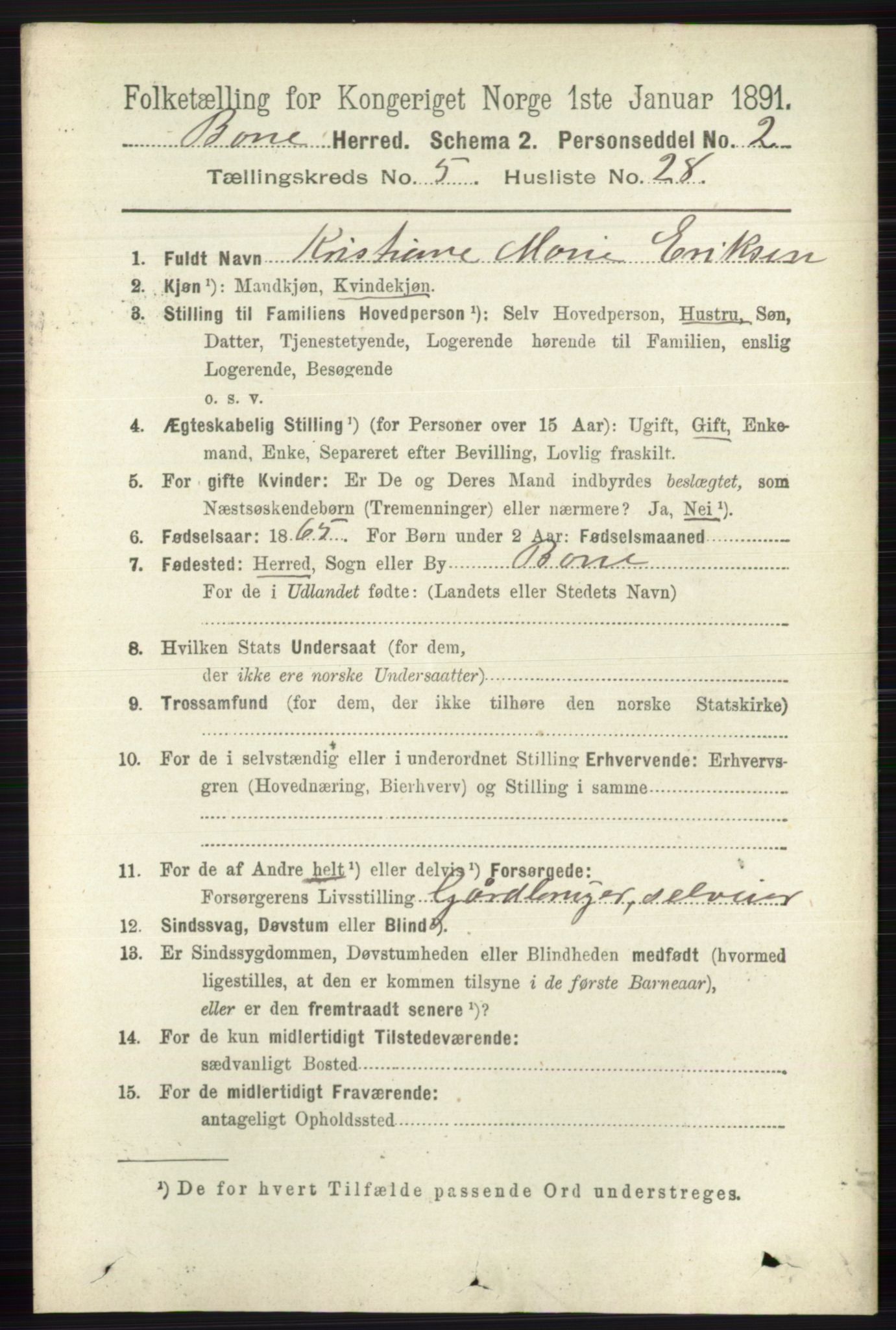 RA, 1891 census for 0717 Borre, 1891, p. 2191