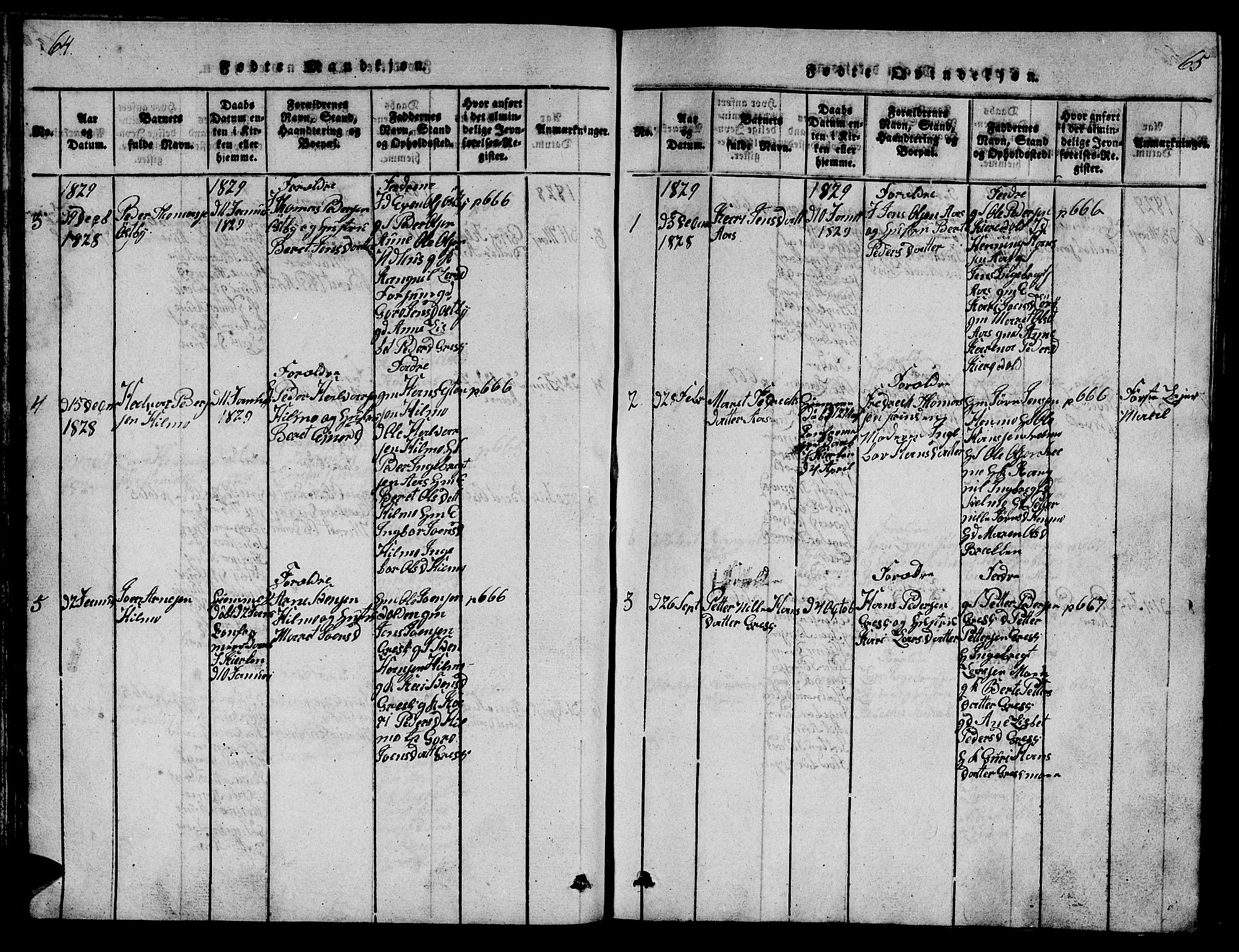 Ministerialprotokoller, klokkerbøker og fødselsregistre - Sør-Trøndelag, AV/SAT-A-1456/698/L1164: Parish register (copy) no. 698C01, 1816-1861, p. 64-65