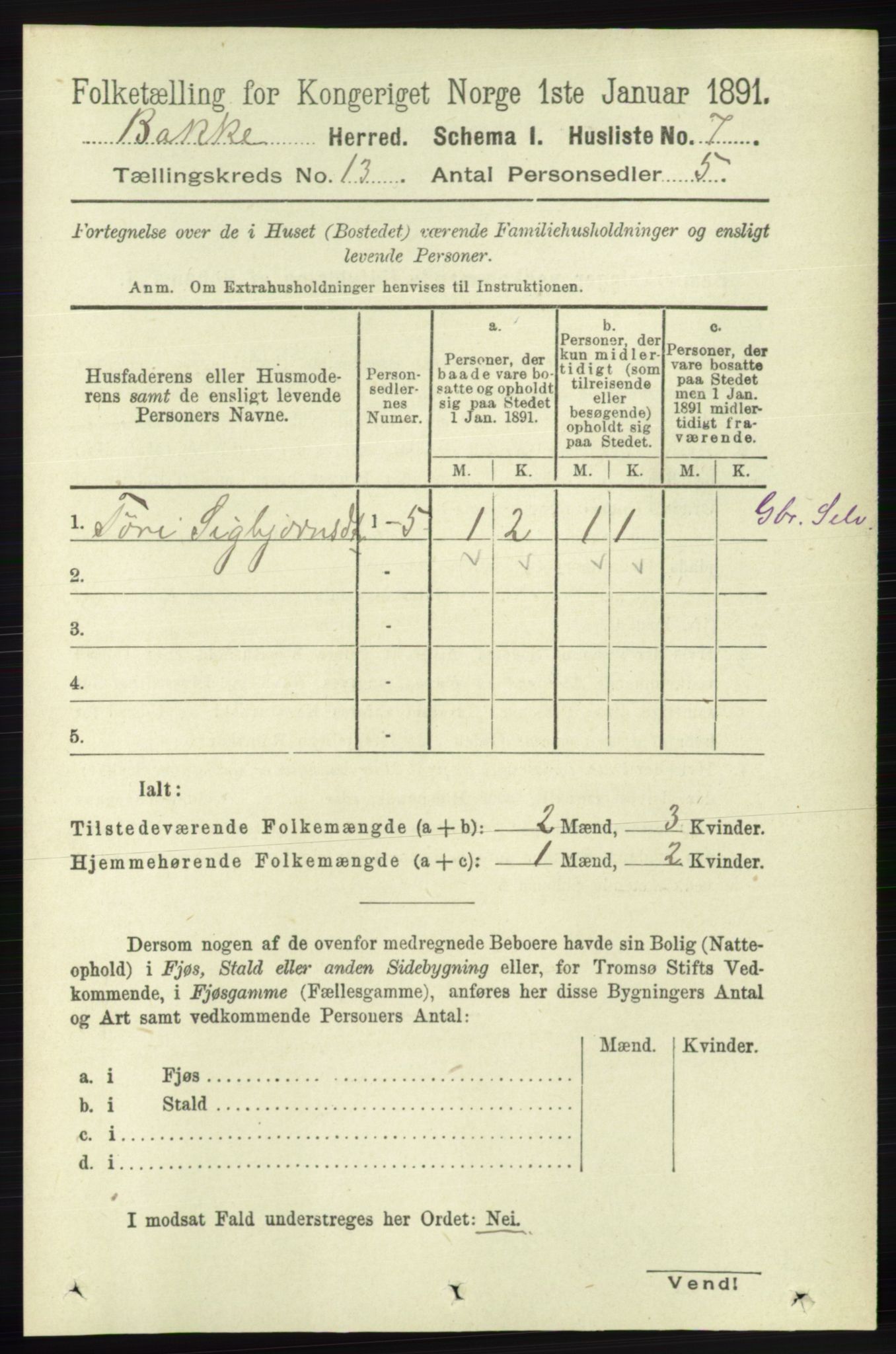 RA, 1891 census for 1045 Bakke, 1891, p. 2675