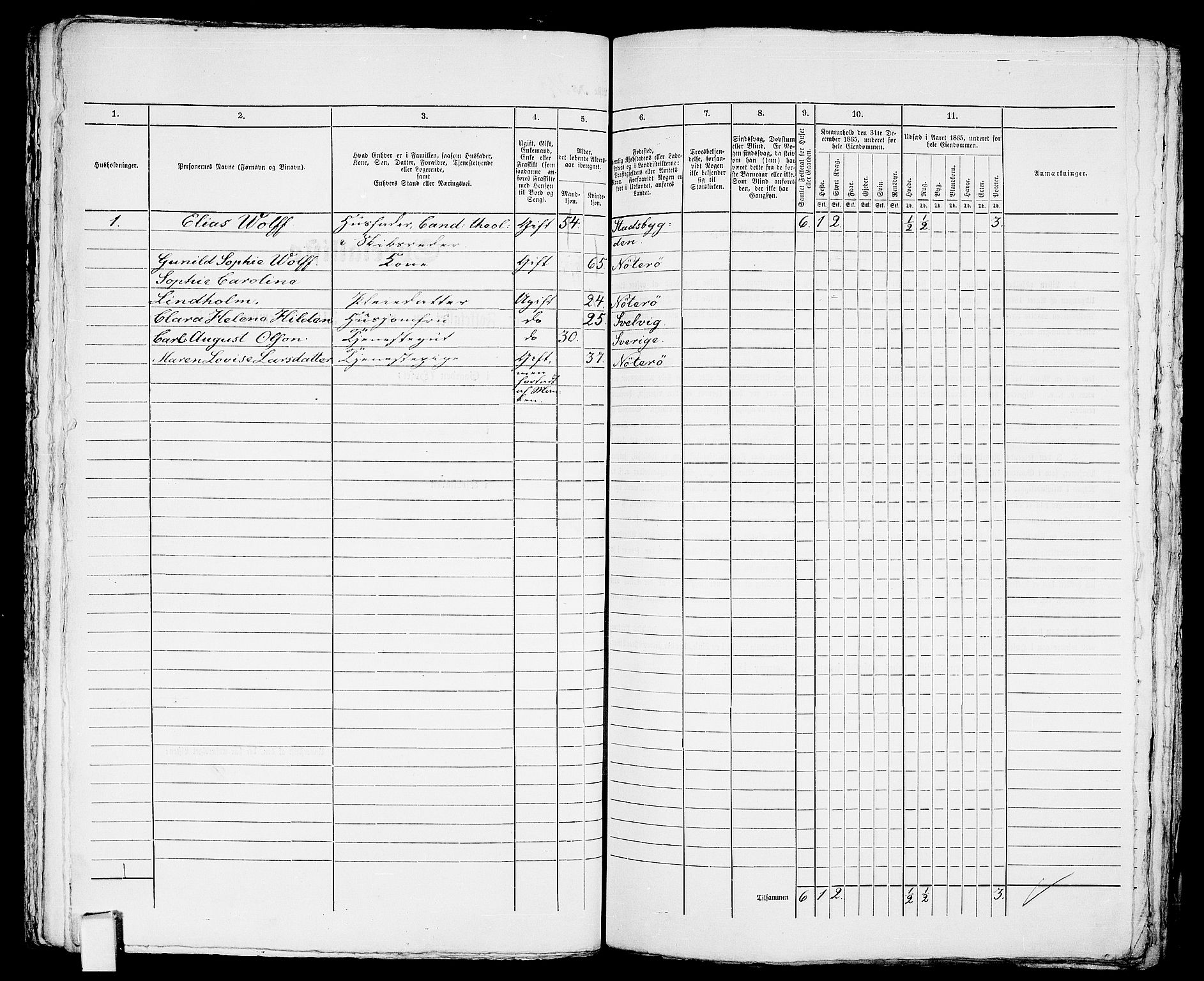 RA, 1865 census for Tønsberg, 1865, p. 527