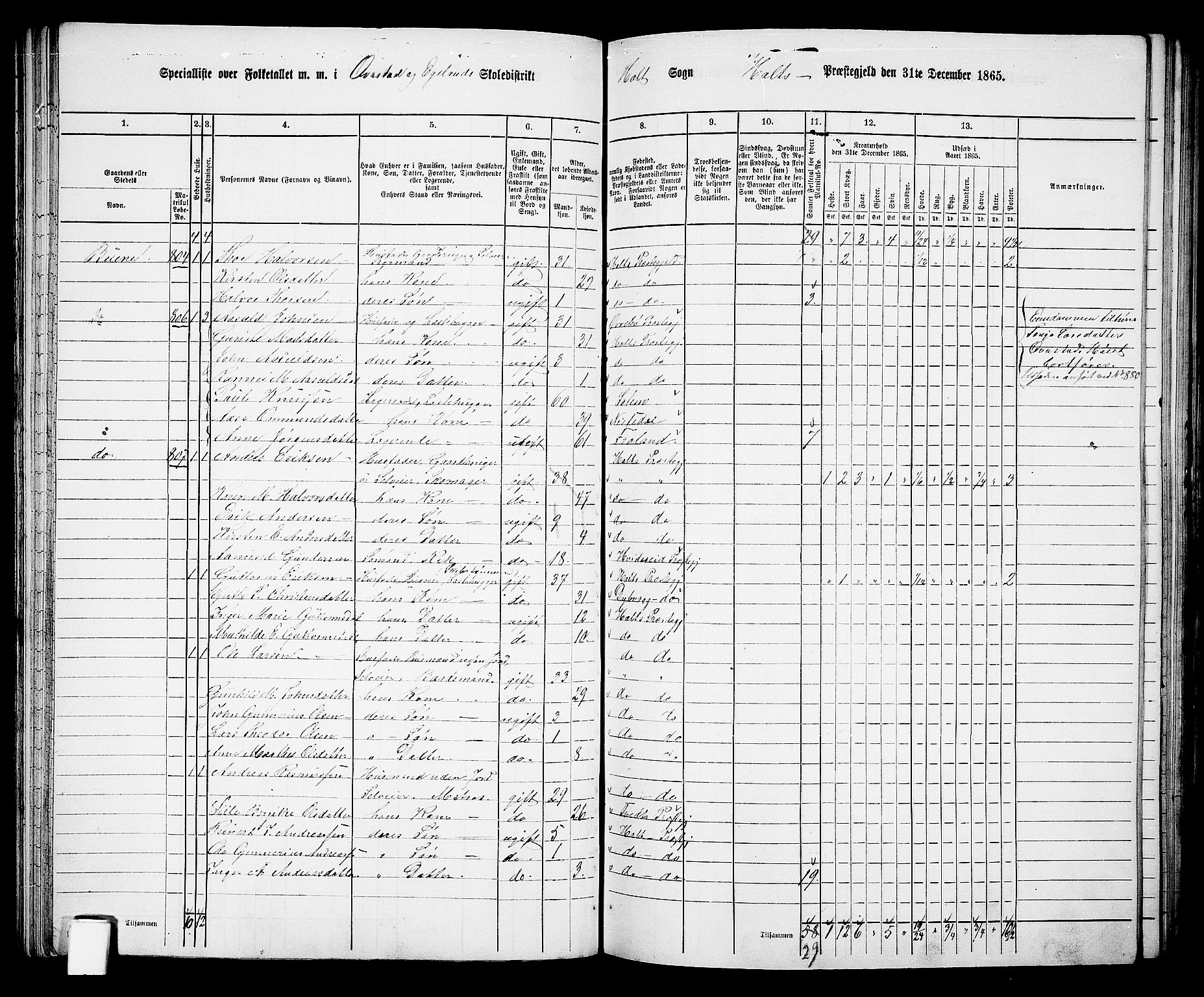 RA, 1865 census for Holt/Holt, 1865, p. 53