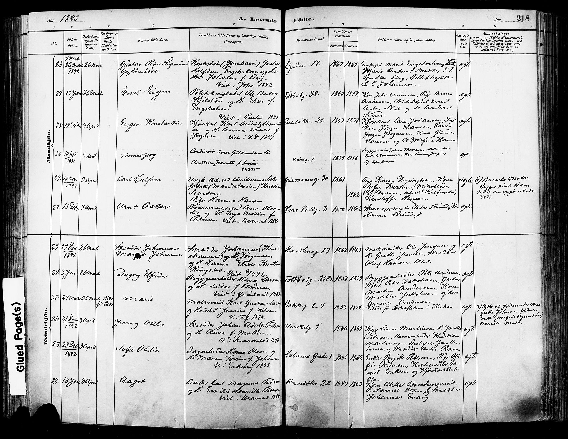 Johannes prestekontor Kirkebøker, SAO/A-10852/F/Fa/L0003: Parish register (official) no. 3, 1882-1896, p. 218