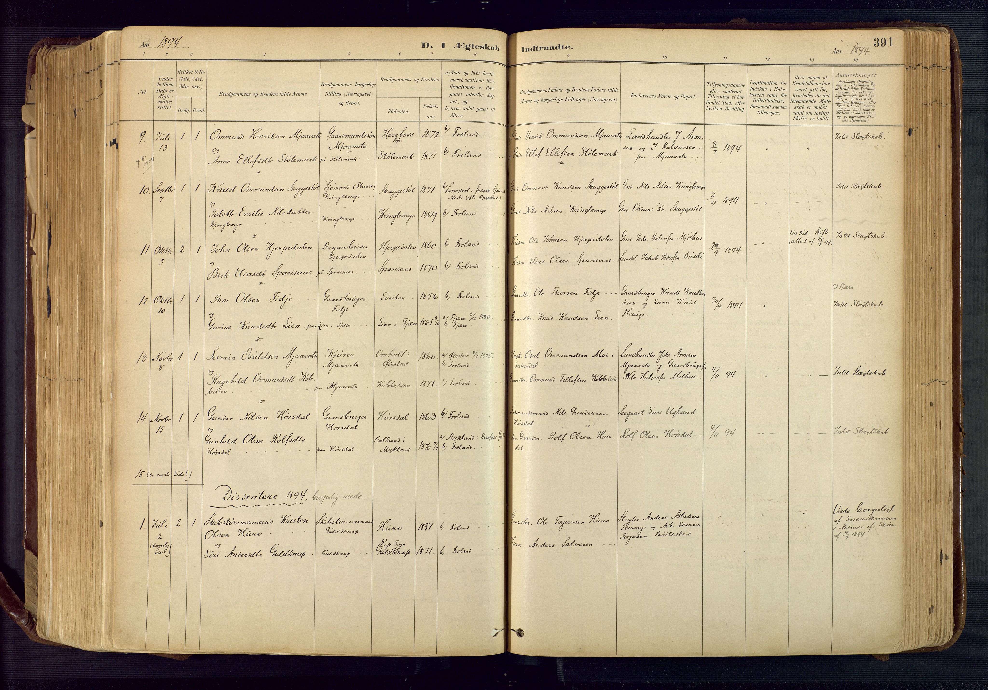 Froland sokneprestkontor, SAK/1111-0013/F/Fa/L0005: Parish register (official) no. A 5, 1882-1921, p. 391
