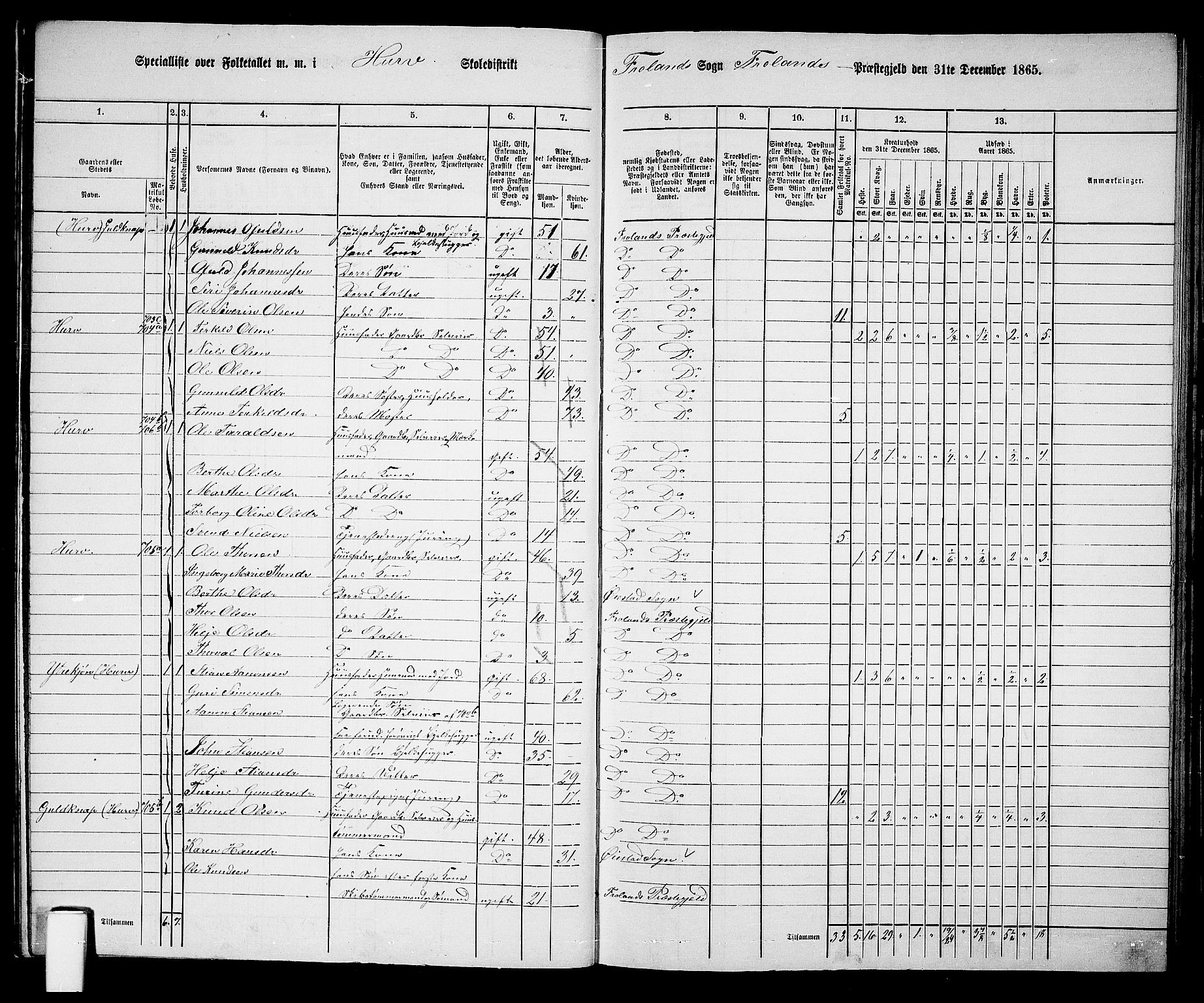 RA, 1865 census for Froland, 1865, p. 16