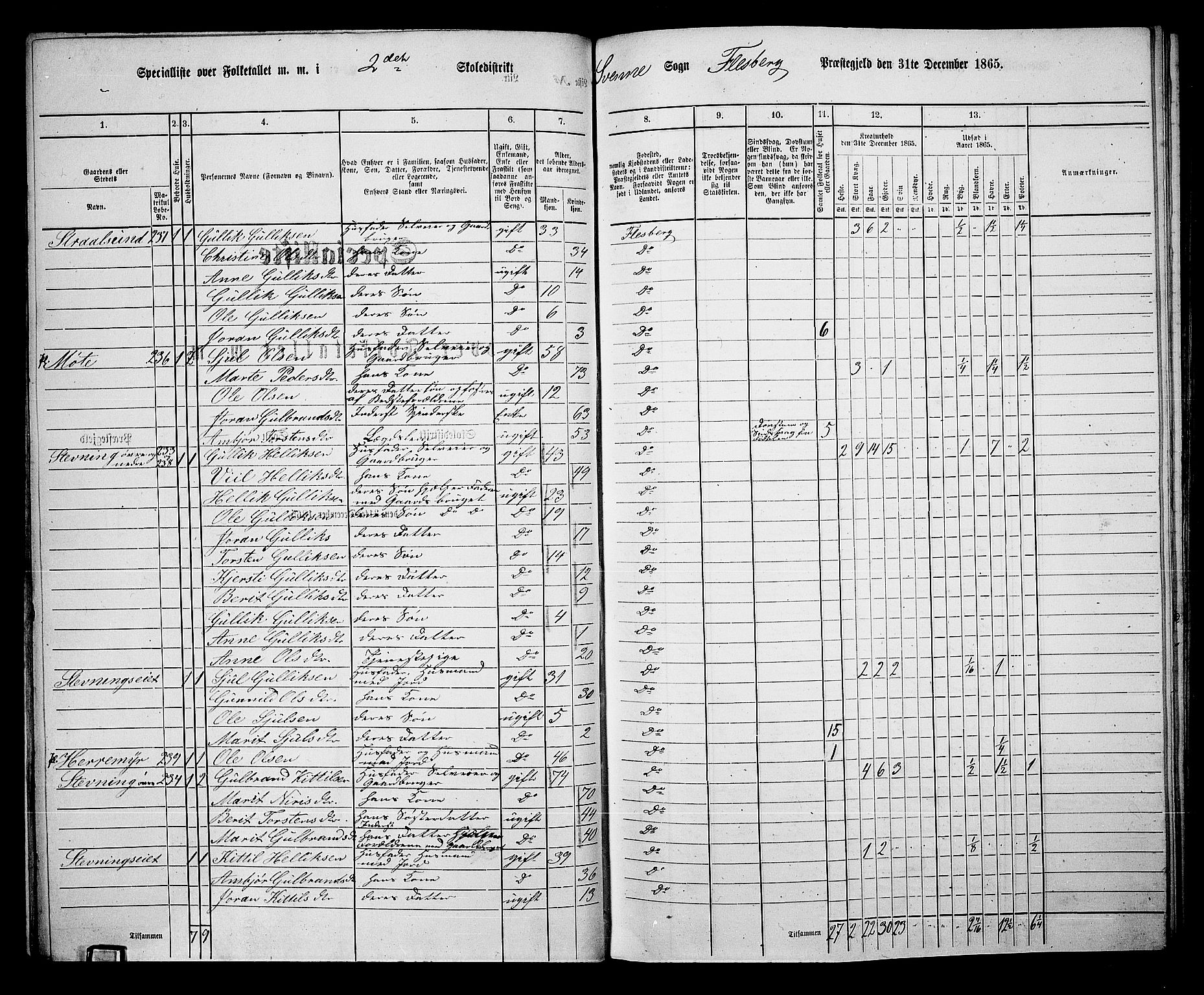 RA, 1865 census for Flesberg, 1865, p. 41