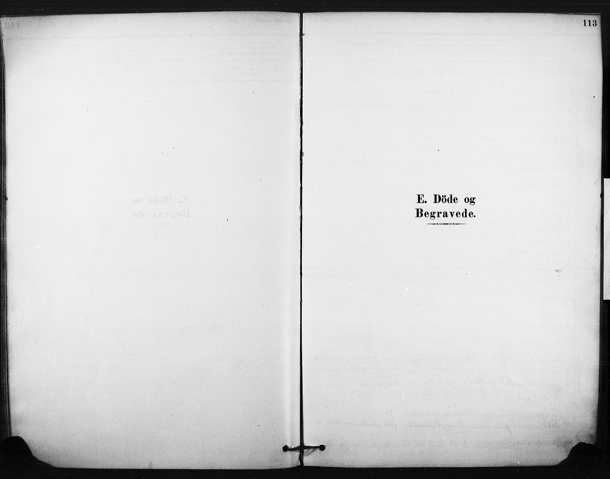 Eiker kirkebøker, SAKO/A-4/F/Fc/L0001: Parish register (official) no. III 1, 1878-1889, p. 113