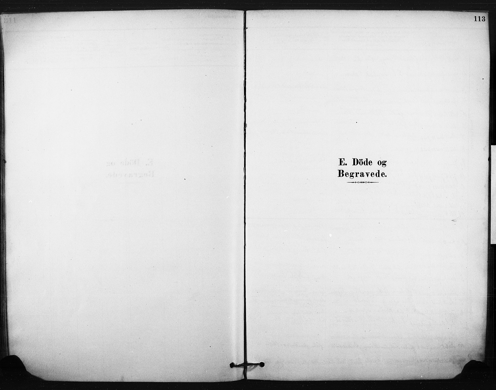 Eiker kirkebøker, AV/SAKO-A-4/F/Fc/L0001: Parish register (official) no. III 1, 1878-1889, p. 113