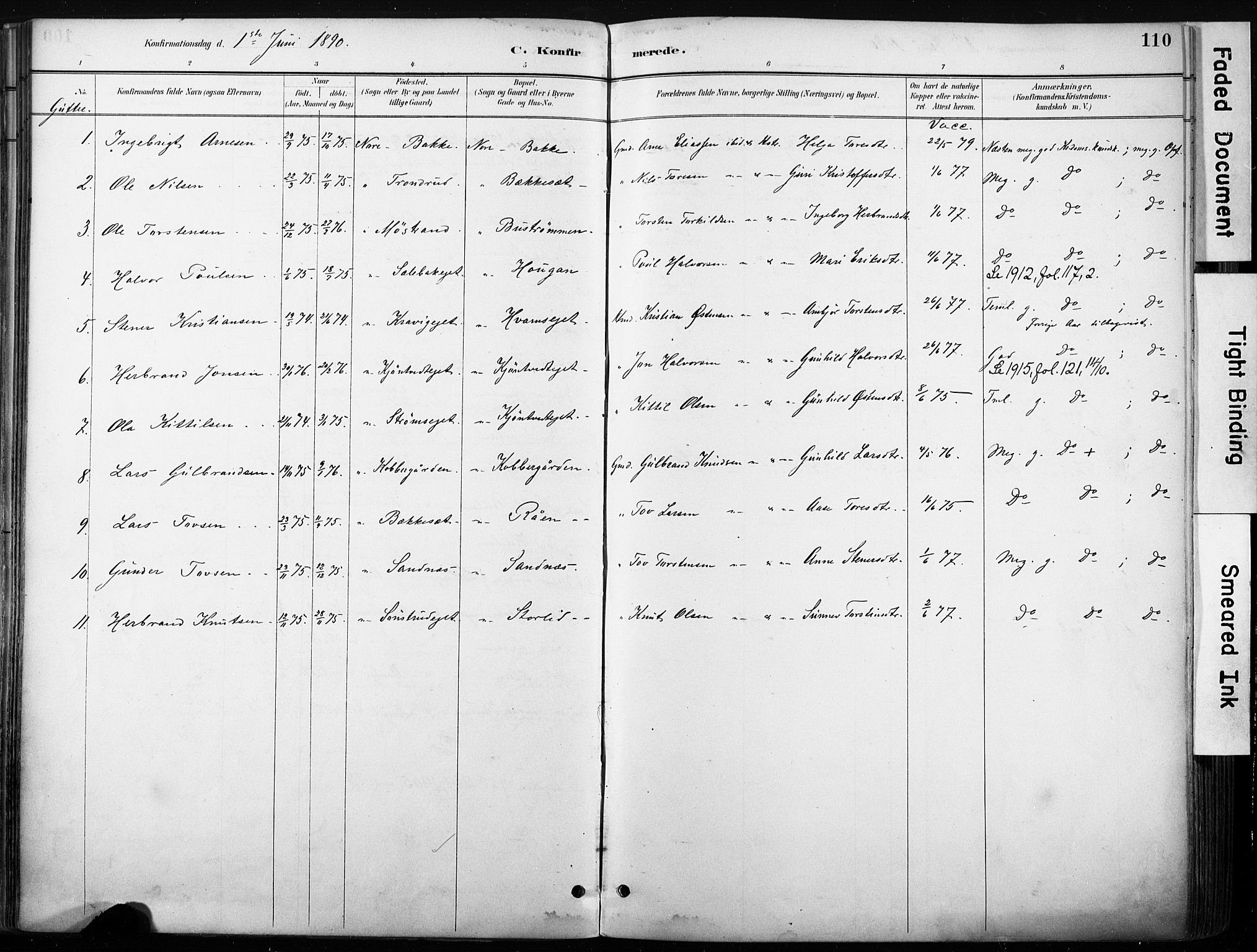 Nore kirkebøker, SAKO/A-238/F/Fb/L0002: Parish register (official) no. II 2, 1886-1906, p. 110