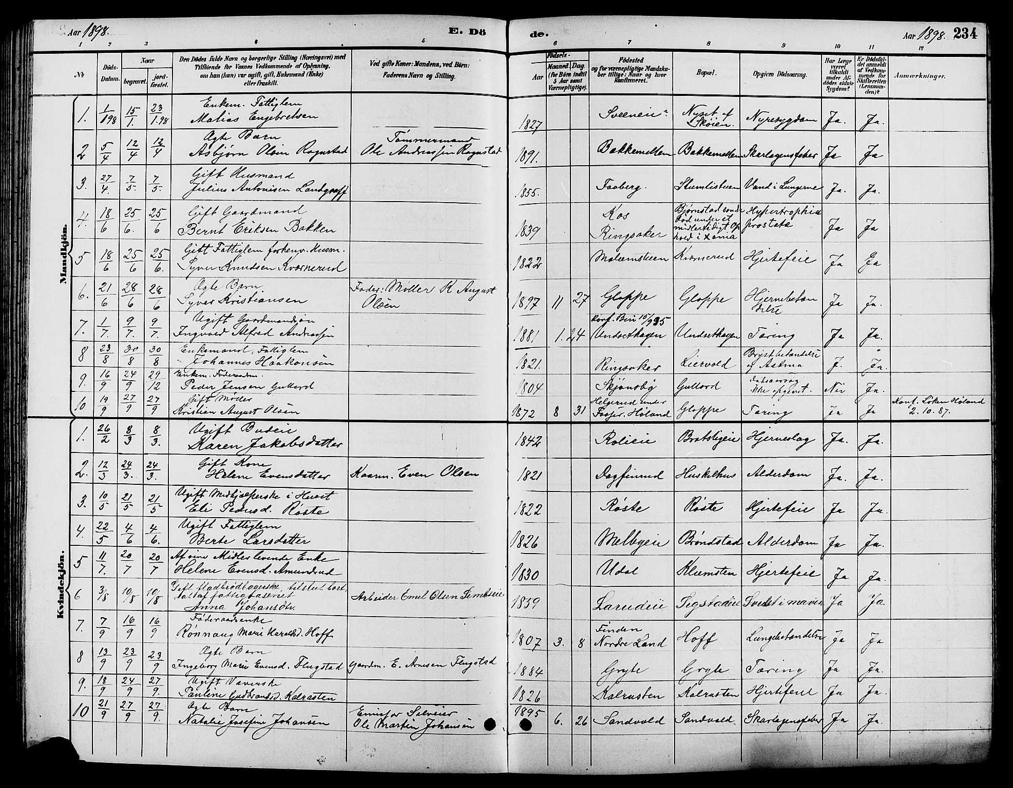 Biri prestekontor, SAH/PREST-096/H/Ha/Hab/L0004: Parish register (copy) no. 4, 1892-1909, p. 234