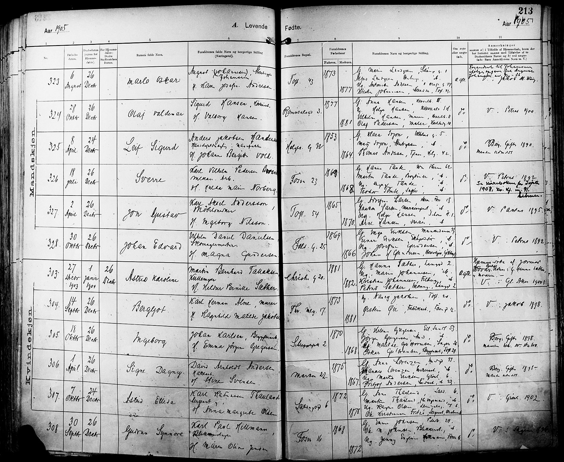 Paulus prestekontor Kirkebøker, AV/SAO-A-10871/F/Fa/L0016: Parish register (official) no. 16, 1902-1906, p. 213
