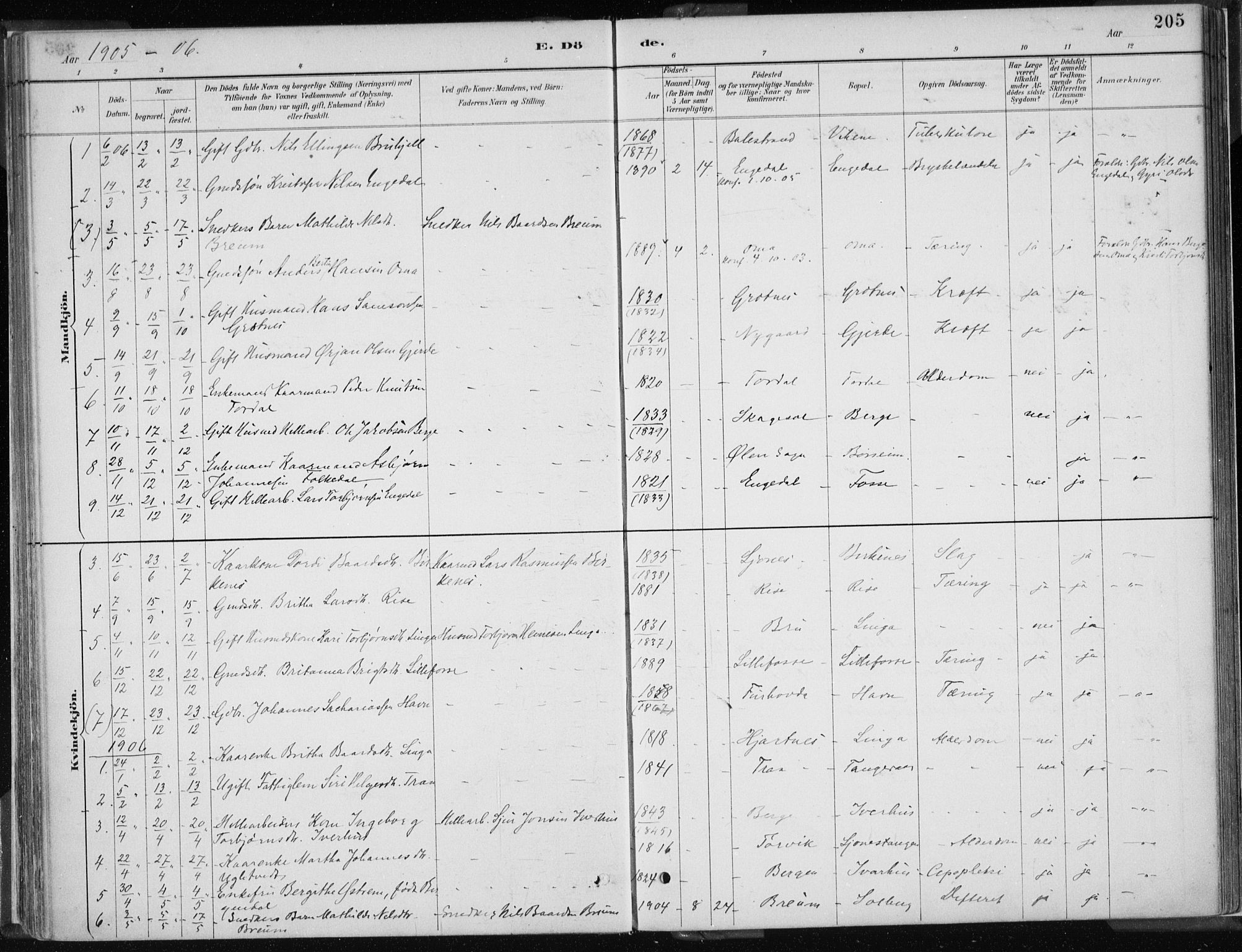 Strandebarm sokneprestembete, AV/SAB-A-78401/H/Haa: Parish register (official) no. B  1, 1886-1908, p. 205