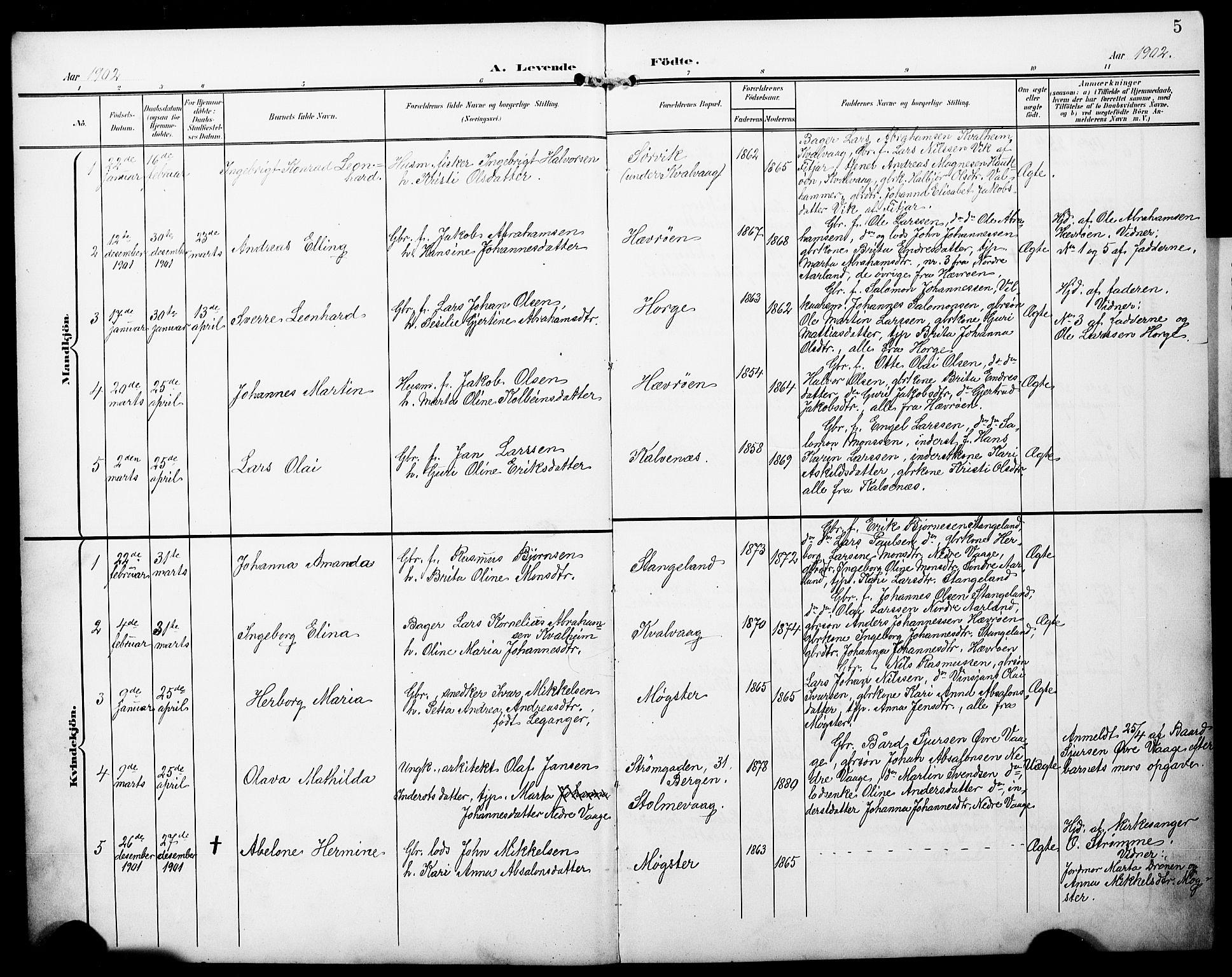 Austevoll Sokneprestembete, SAB/A-74201/H/Hab: Parish register (copy) no. B 5, 1902-1910, p. 5