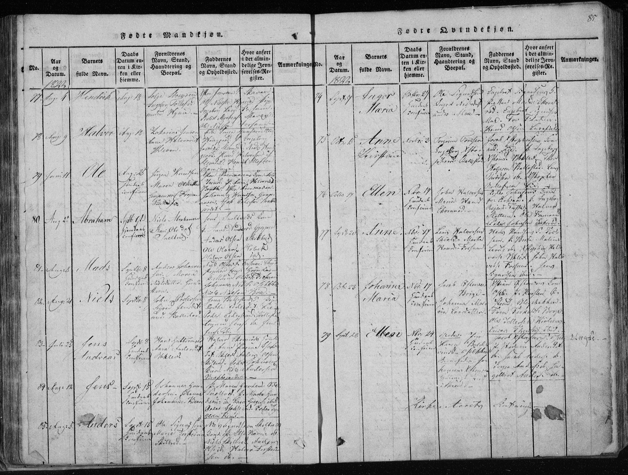 Gjerpen kirkebøker, SAKO/A-265/F/Fa/L0004: Parish register (official) no. I 4, 1814-1823, p. 85