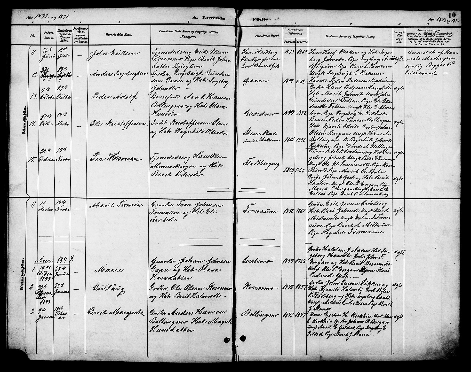 Ministerialprotokoller, klokkerbøker og fødselsregistre - Sør-Trøndelag, SAT/A-1456/685/L0978: Parish register (copy) no. 685C03, 1891-1907, p. 10