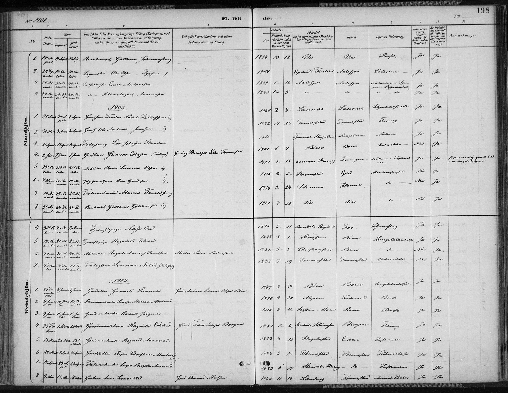 Tveit sokneprestkontor, AV/SAK-1111-0043/F/Fa/L0007: Parish register (official) no. A 7, 1887-1908, p. 198