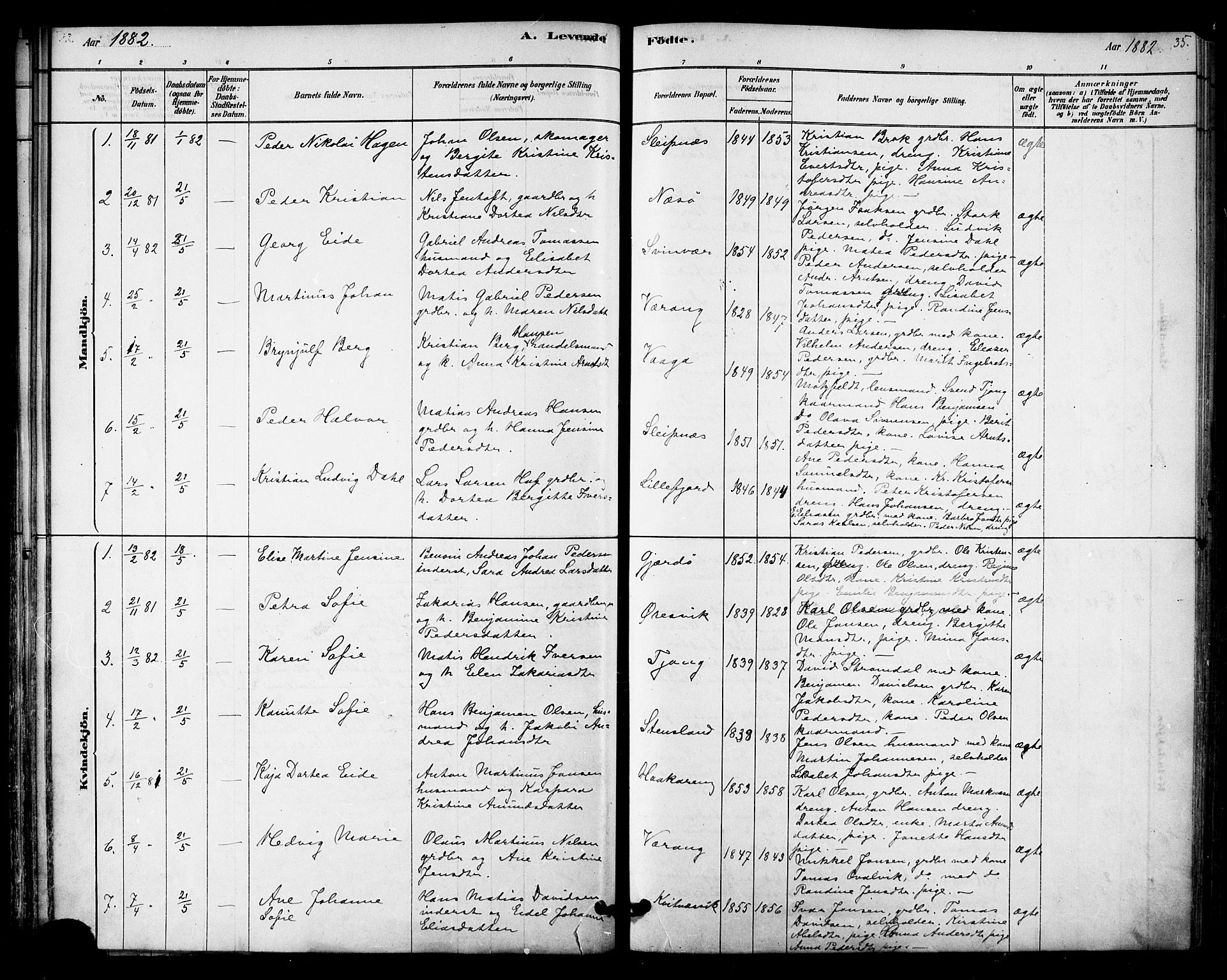 Ministerialprotokoller, klokkerbøker og fødselsregistre - Nordland, AV/SAT-A-1459/841/L0609: Parish register (official) no. 841A12, 1878-1901, p. 35