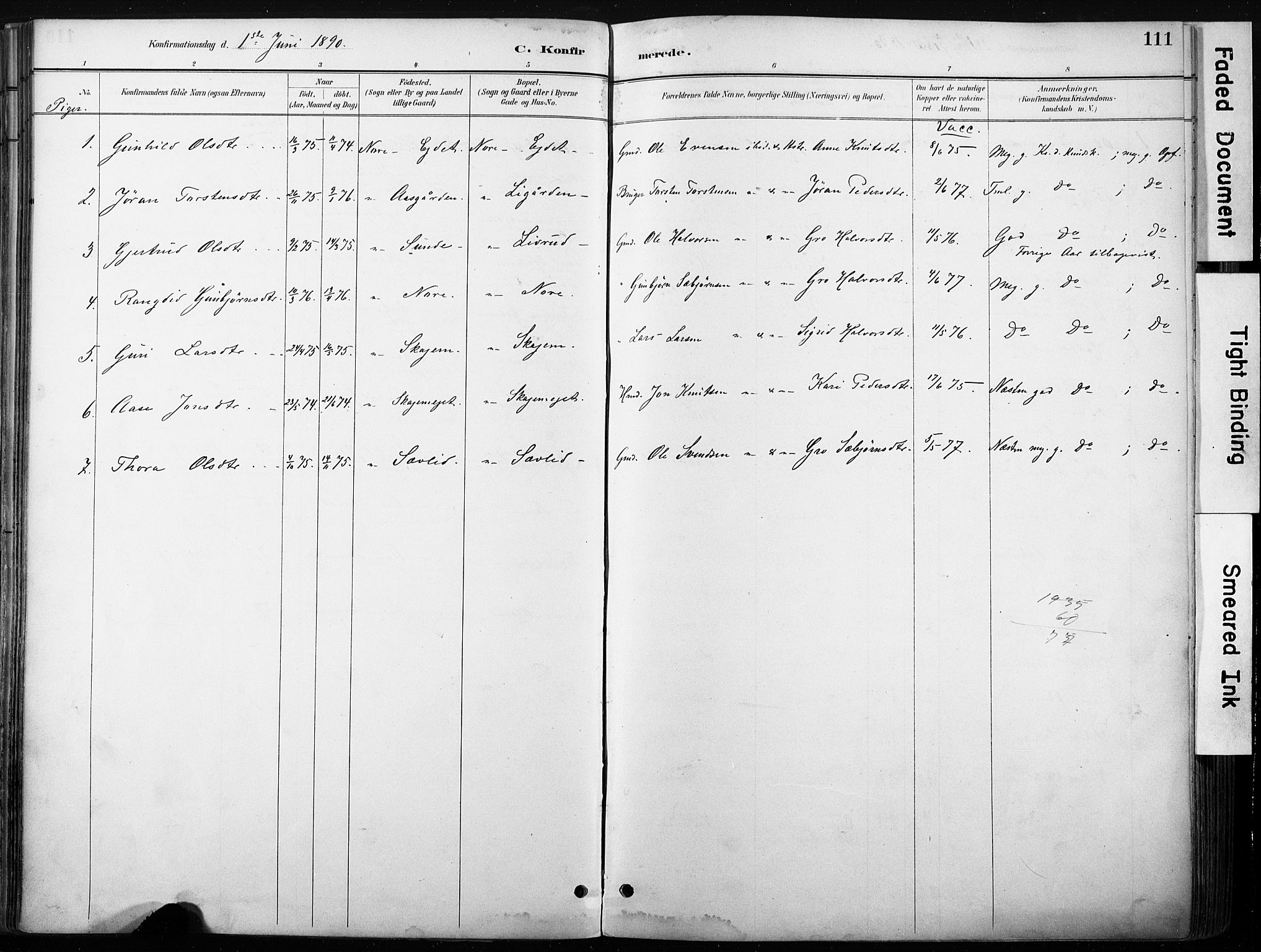 Nore kirkebøker, SAKO/A-238/F/Fb/L0002: Parish register (official) no. II 2, 1886-1906, p. 111