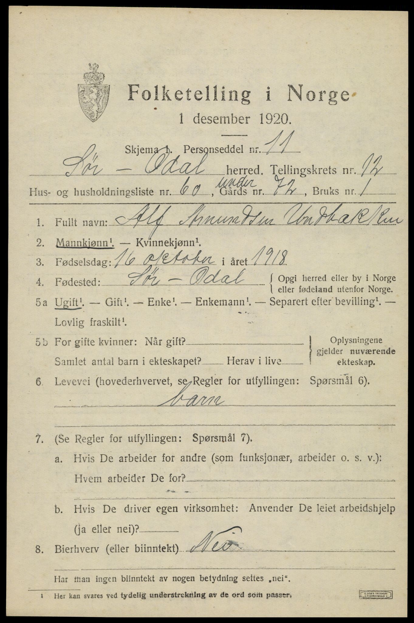 SAH, 1920 census for Sør-Odal, 1920, p. 12925