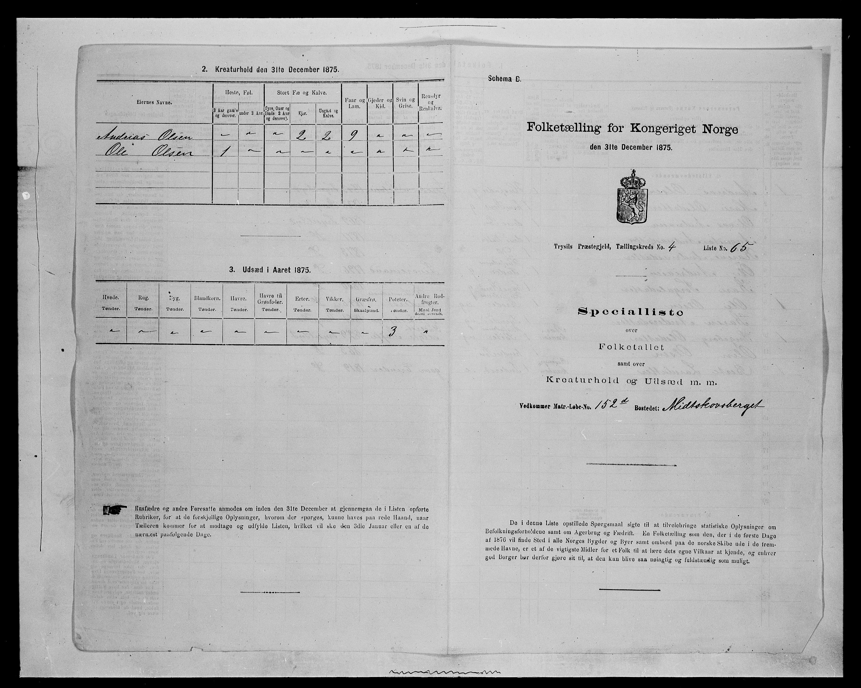 SAH, 1875 census for 0428P Trysil, 1875, p. 669