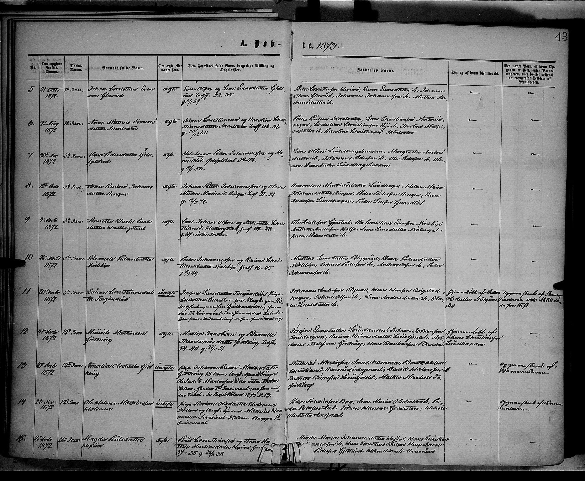 Vestre Toten prestekontor, SAH/PREST-108/H/Ha/Haa/L0008: Parish register (official) no. 8, 1870-1877, p. 43