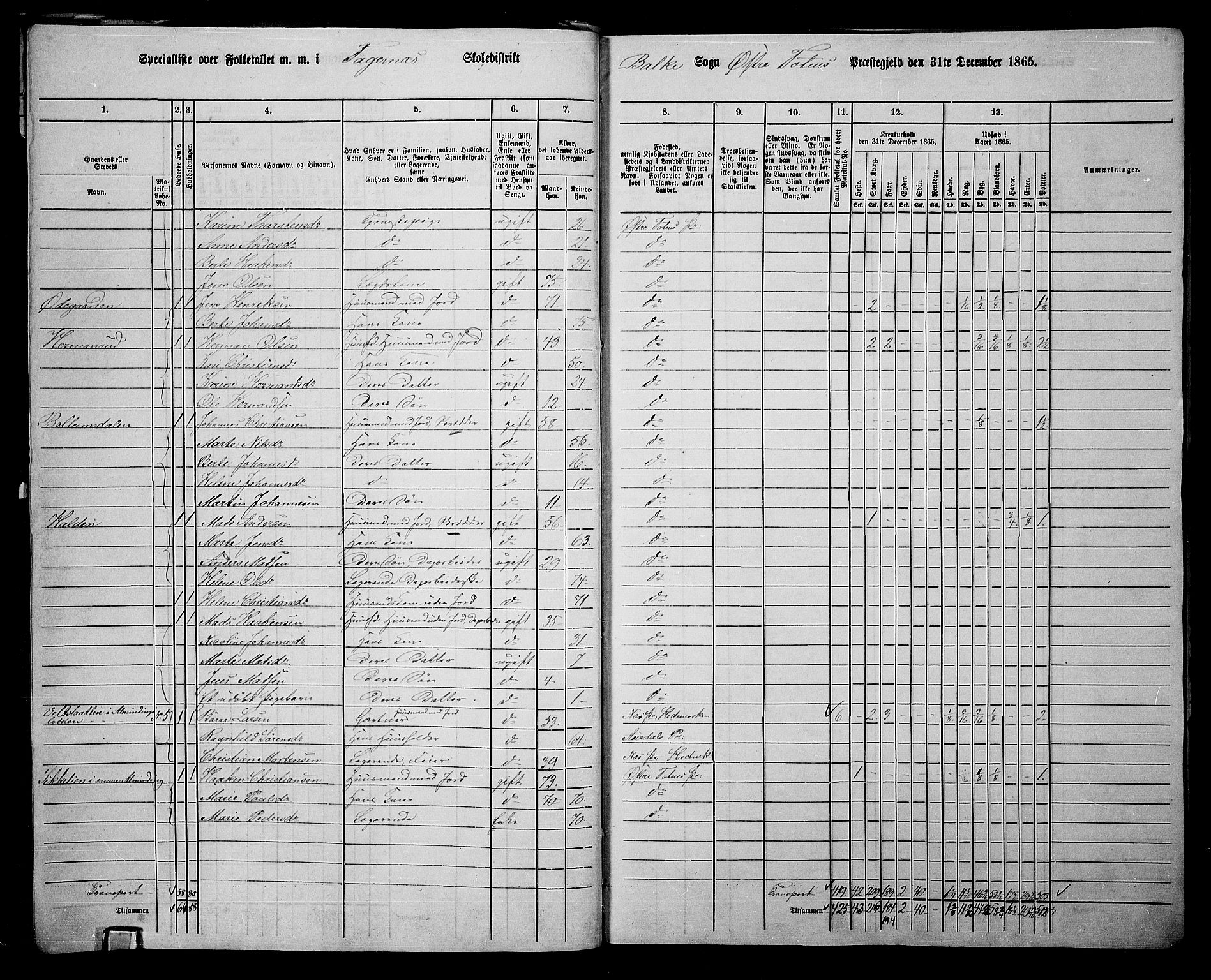 RA, 1865 census for Østre Toten, 1865, p. 29