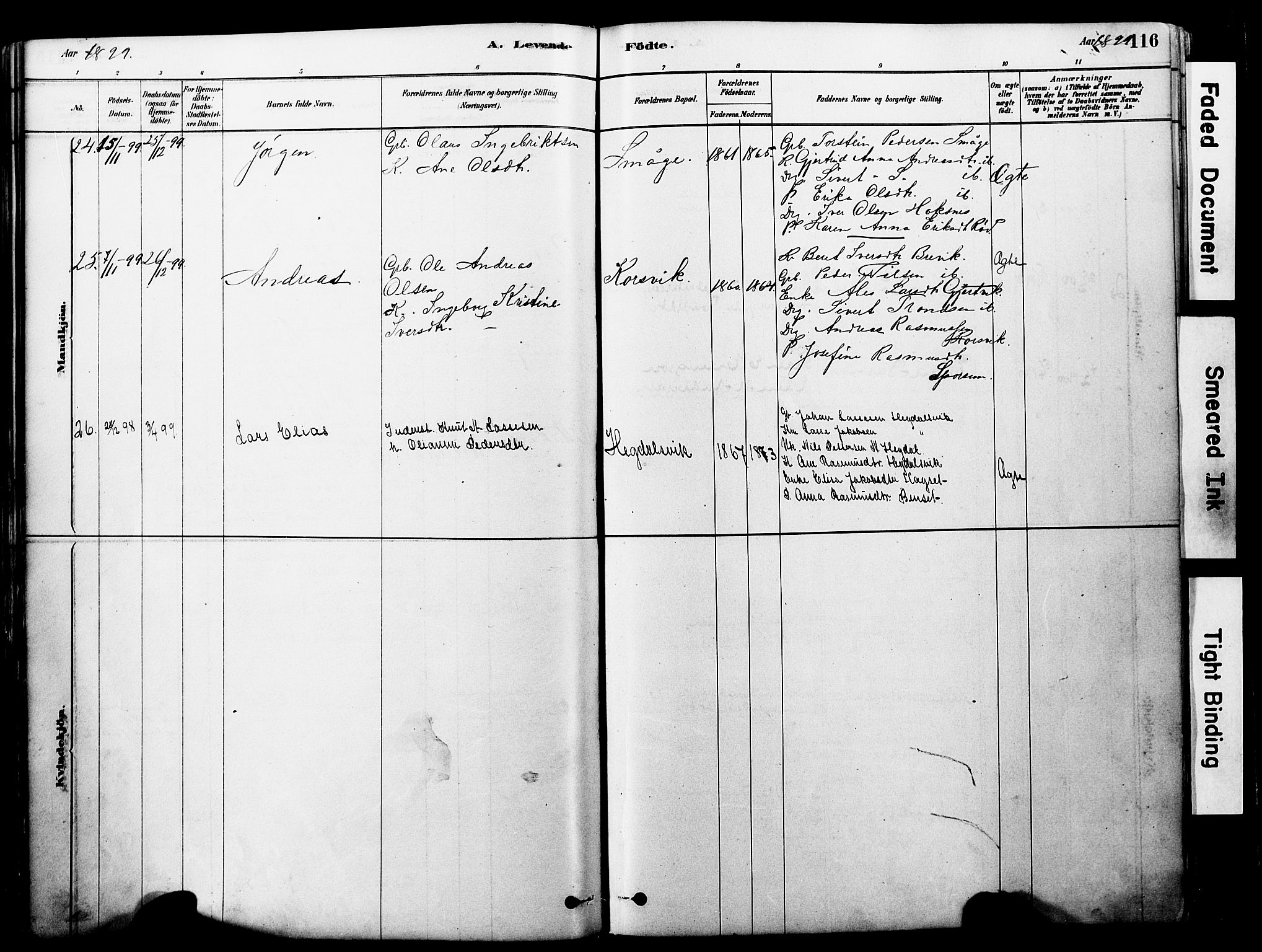 Ministerialprotokoller, klokkerbøker og fødselsregistre - Møre og Romsdal, SAT/A-1454/560/L0721: Parish register (official) no. 560A05, 1878-1917, p. 116