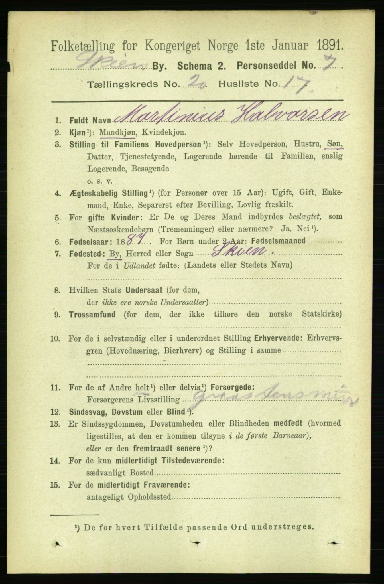 RA, 1891 census for 0806 Skien, 1891, p. 5310