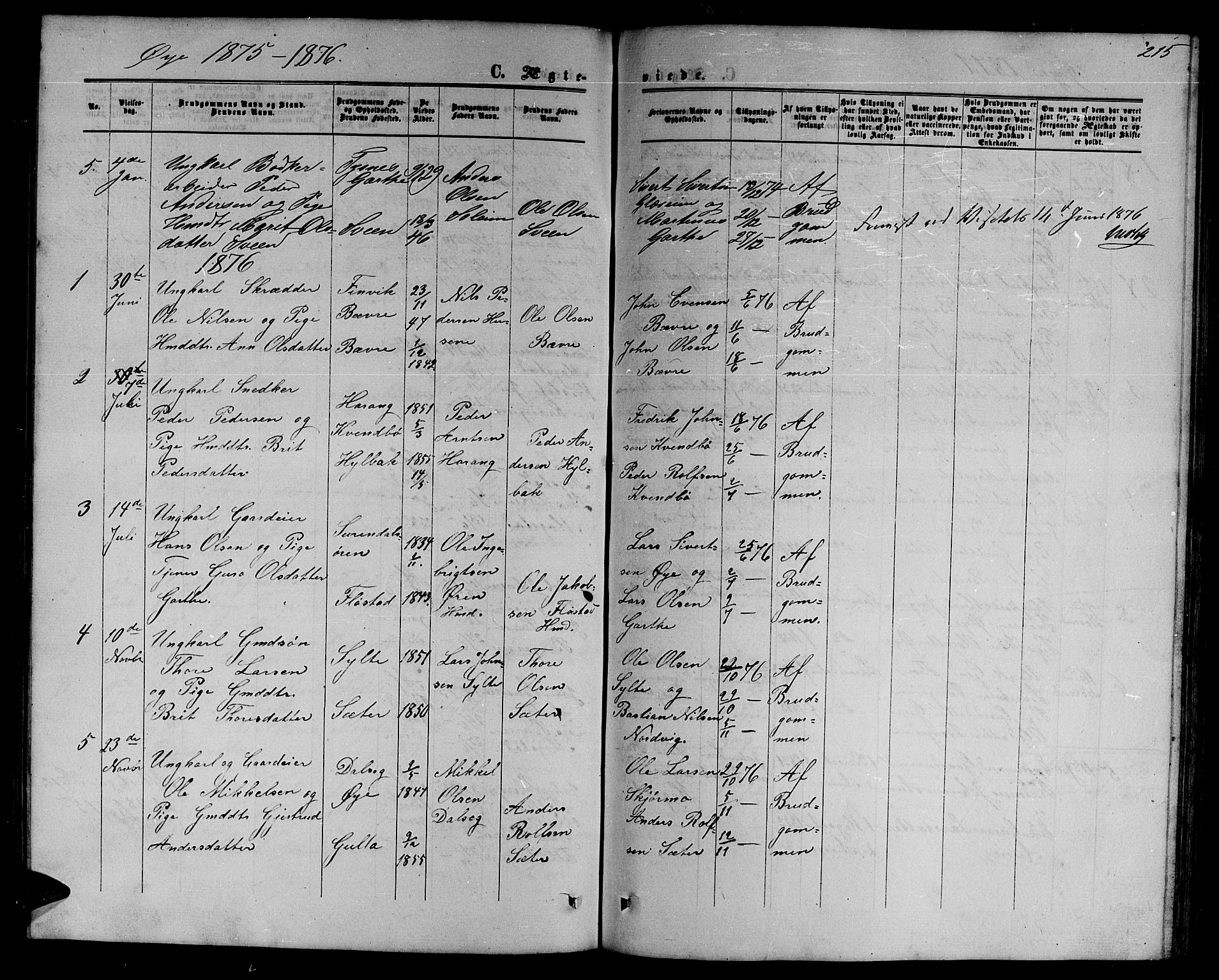 Ministerialprotokoller, klokkerbøker og fødselsregistre - Møre og Romsdal, SAT/A-1454/595/L1051: Parish register (copy) no. 595C03, 1866-1891, p. 215