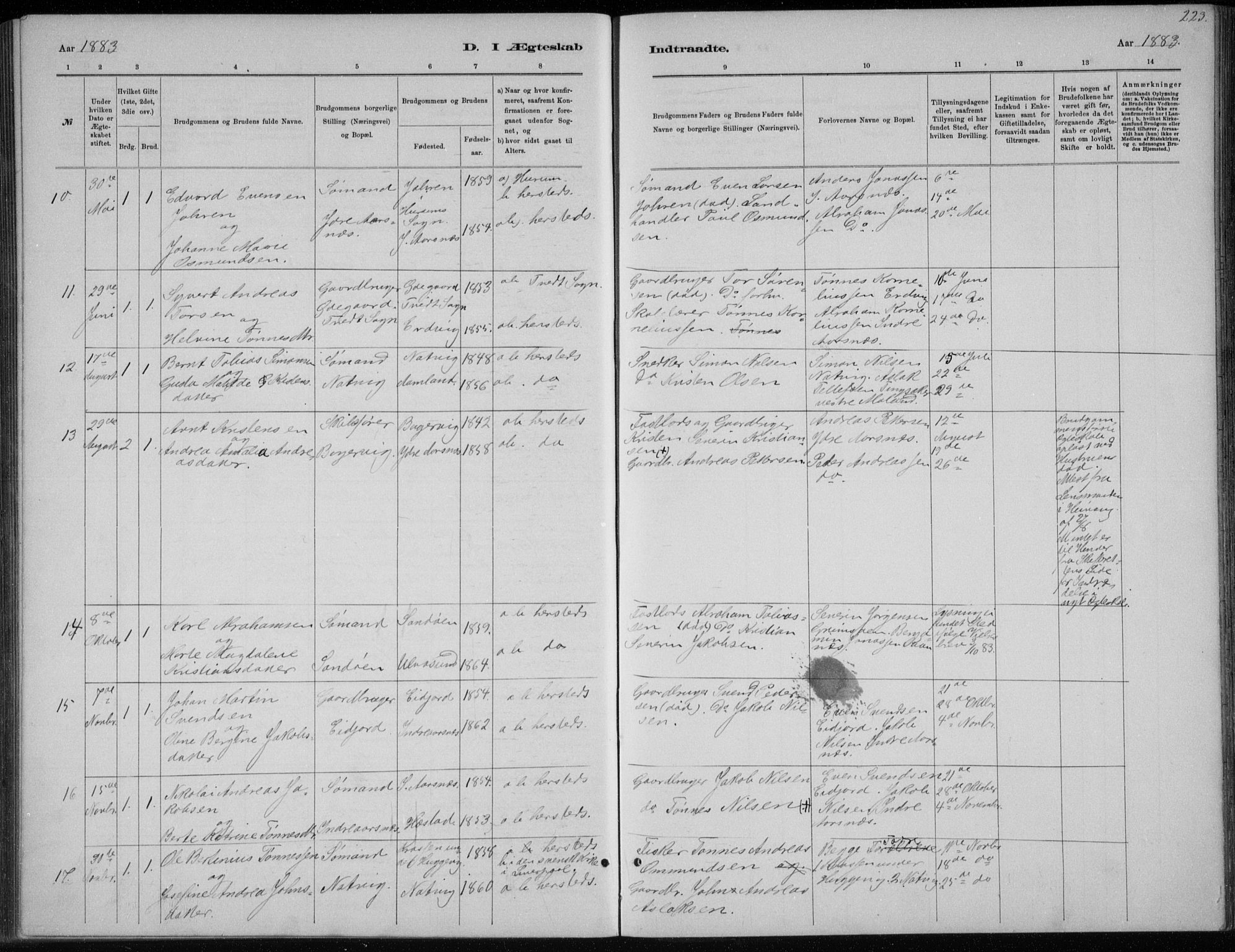 Høvåg sokneprestkontor, SAK/1111-0025/F/Fb/L0004: Parish register (copy) no. B 4, 1883-1898, p. 223