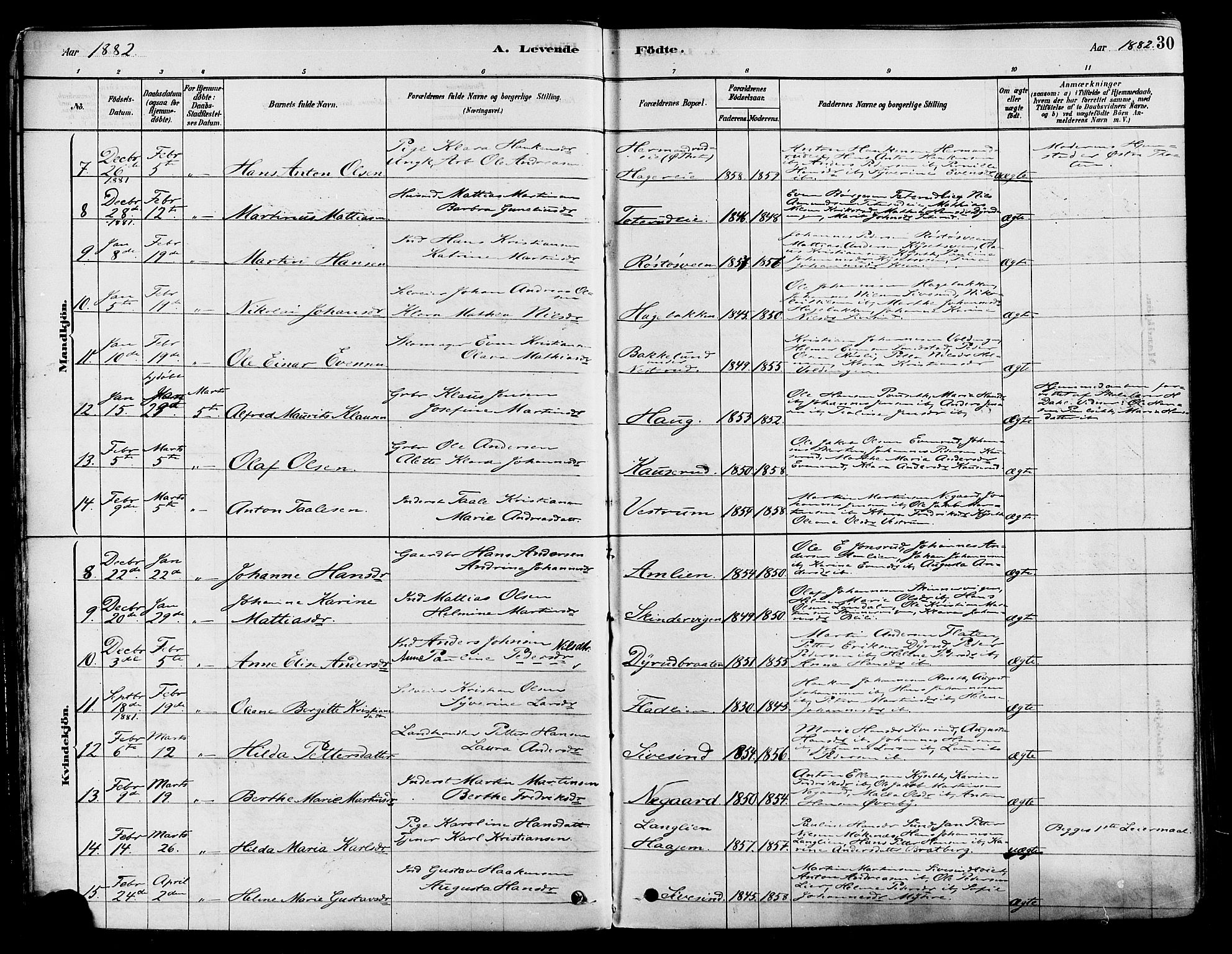 Vestre Toten prestekontor, SAH/PREST-108/H/Ha/Haa/L0009: Parish register (official) no. 9, 1878-1894, p. 30