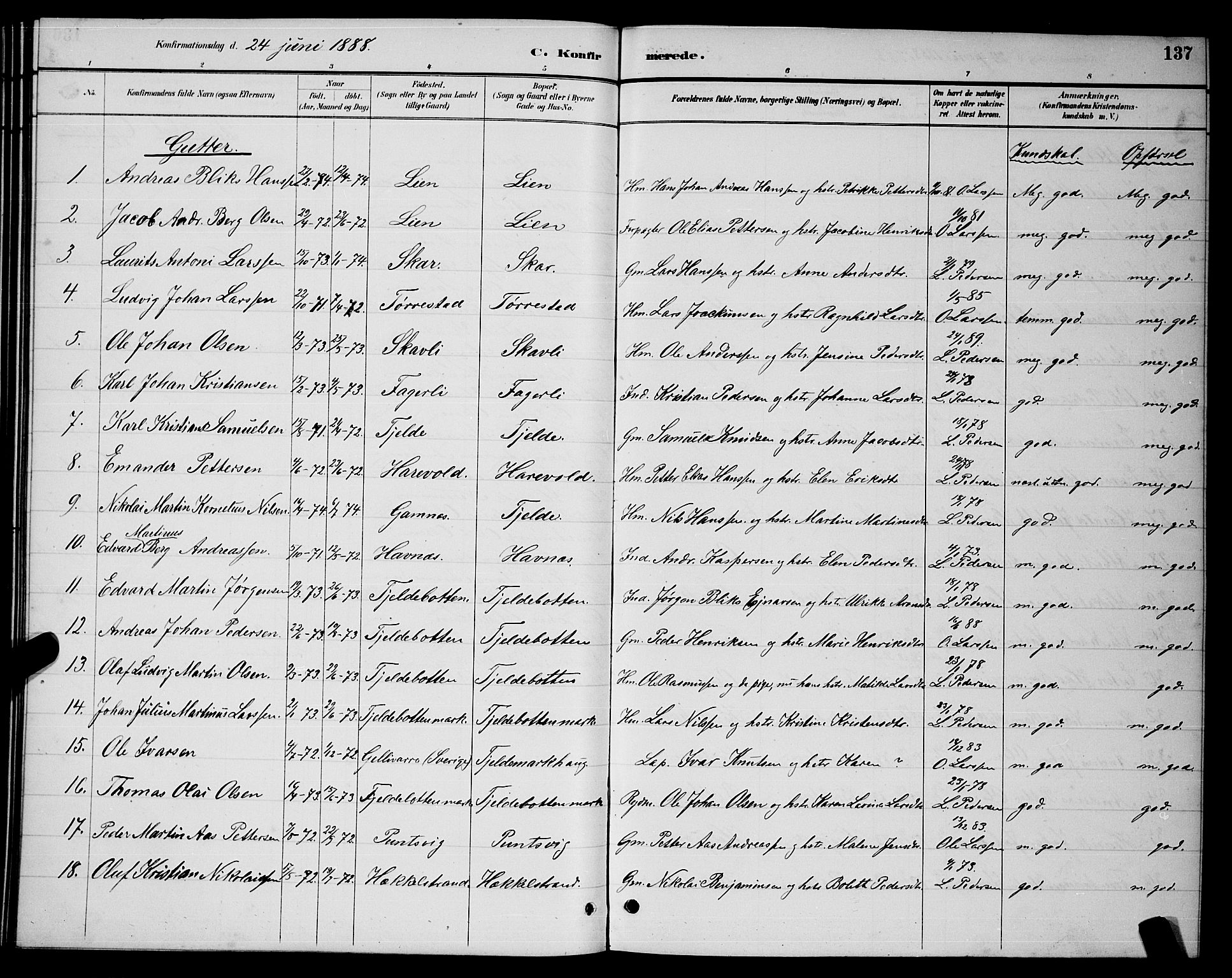 Ministerialprotokoller, klokkerbøker og fødselsregistre - Nordland, AV/SAT-A-1459/863/L0914: Parish register (copy) no. 863C04, 1886-1897, p. 137