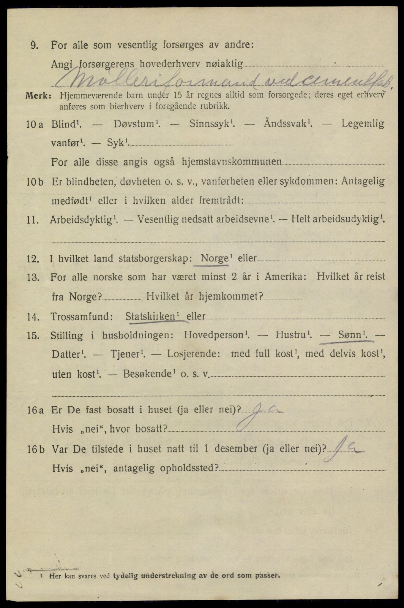 SAKO, 1920 census for Brevik, 1920, p. 3885